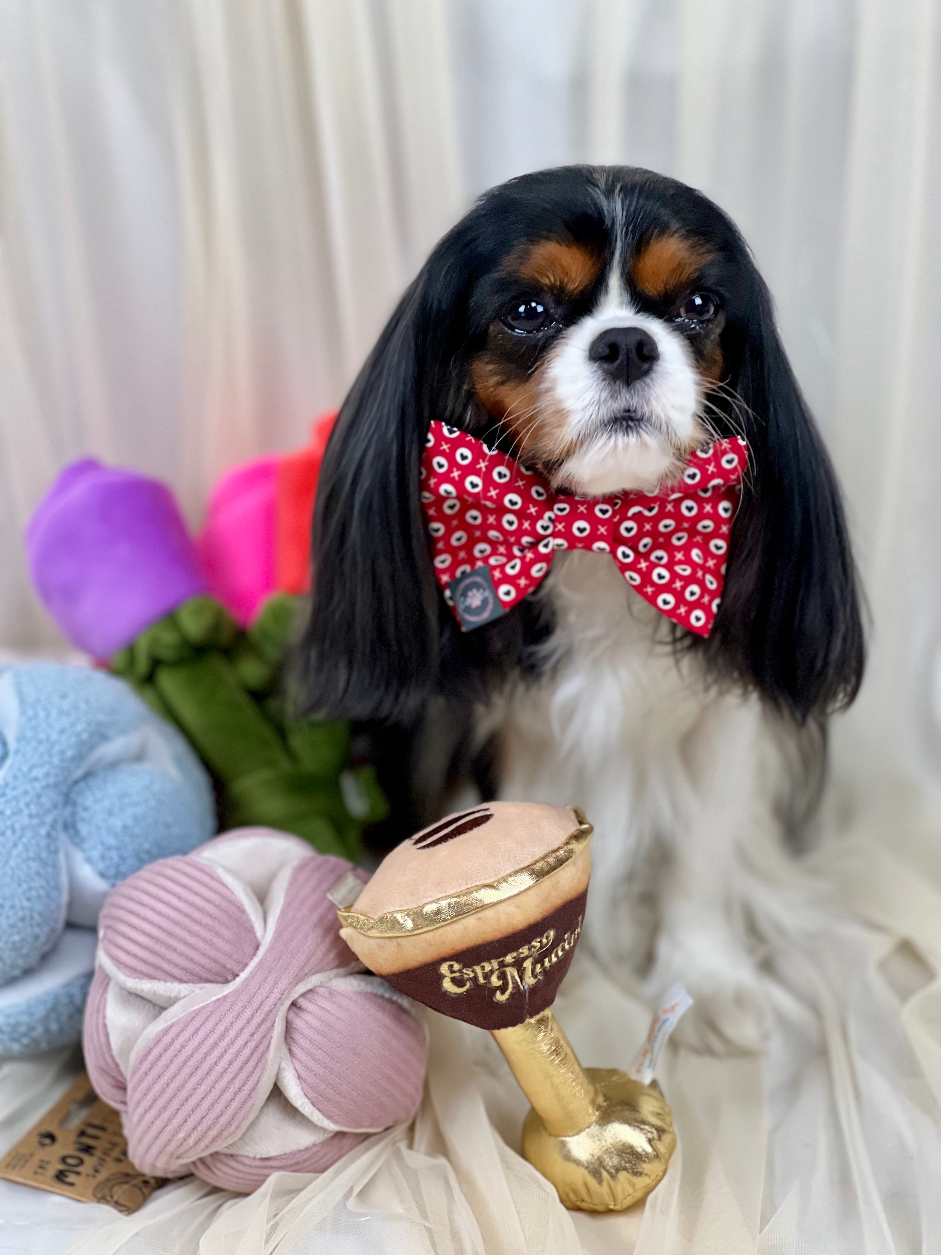 Dress to Impress Bow Tie - Hugs & Kisses and Love Struck