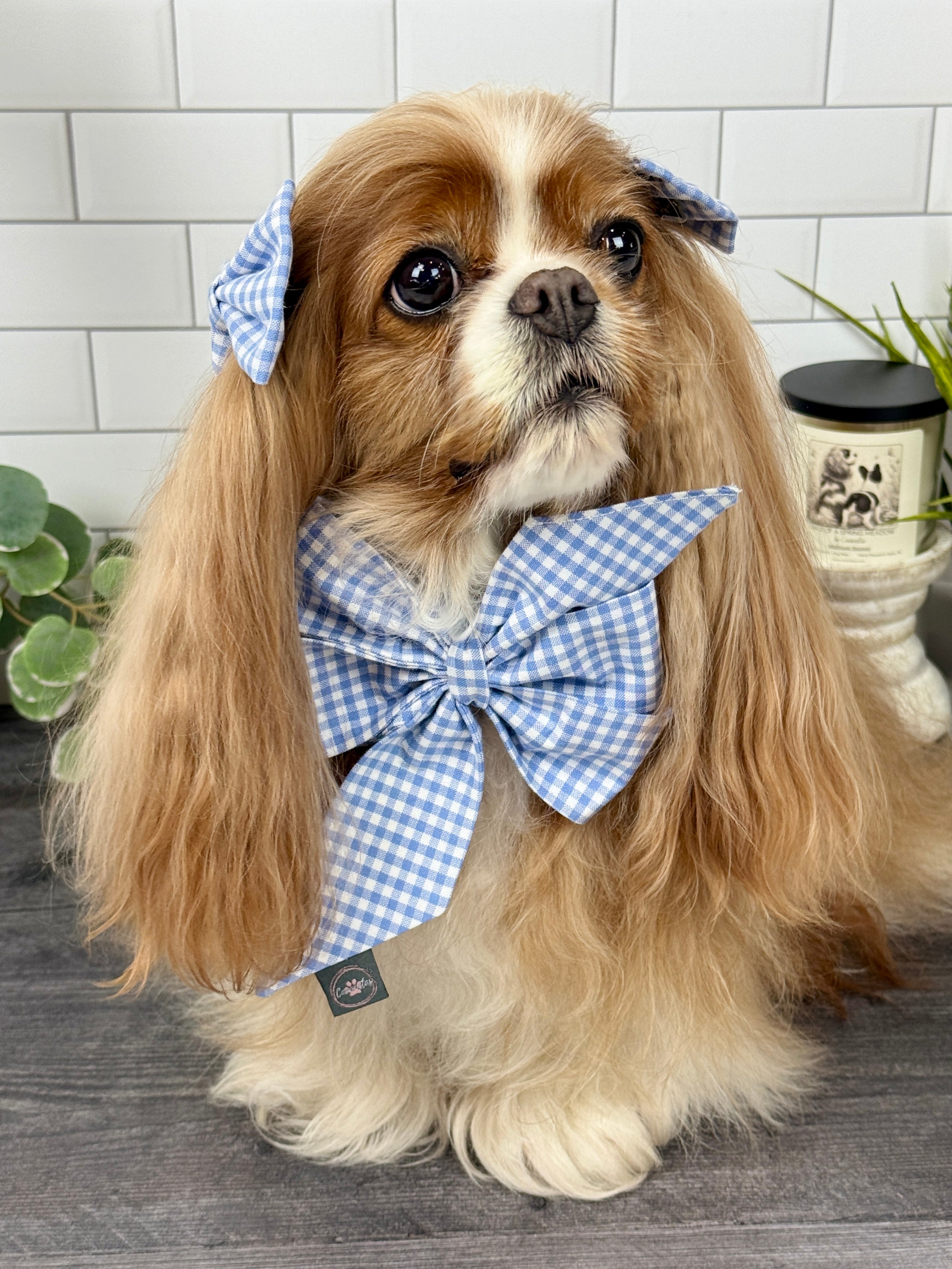 Strike a Pose Bow - Wildflower Meadow & Carolina Skies Gingham