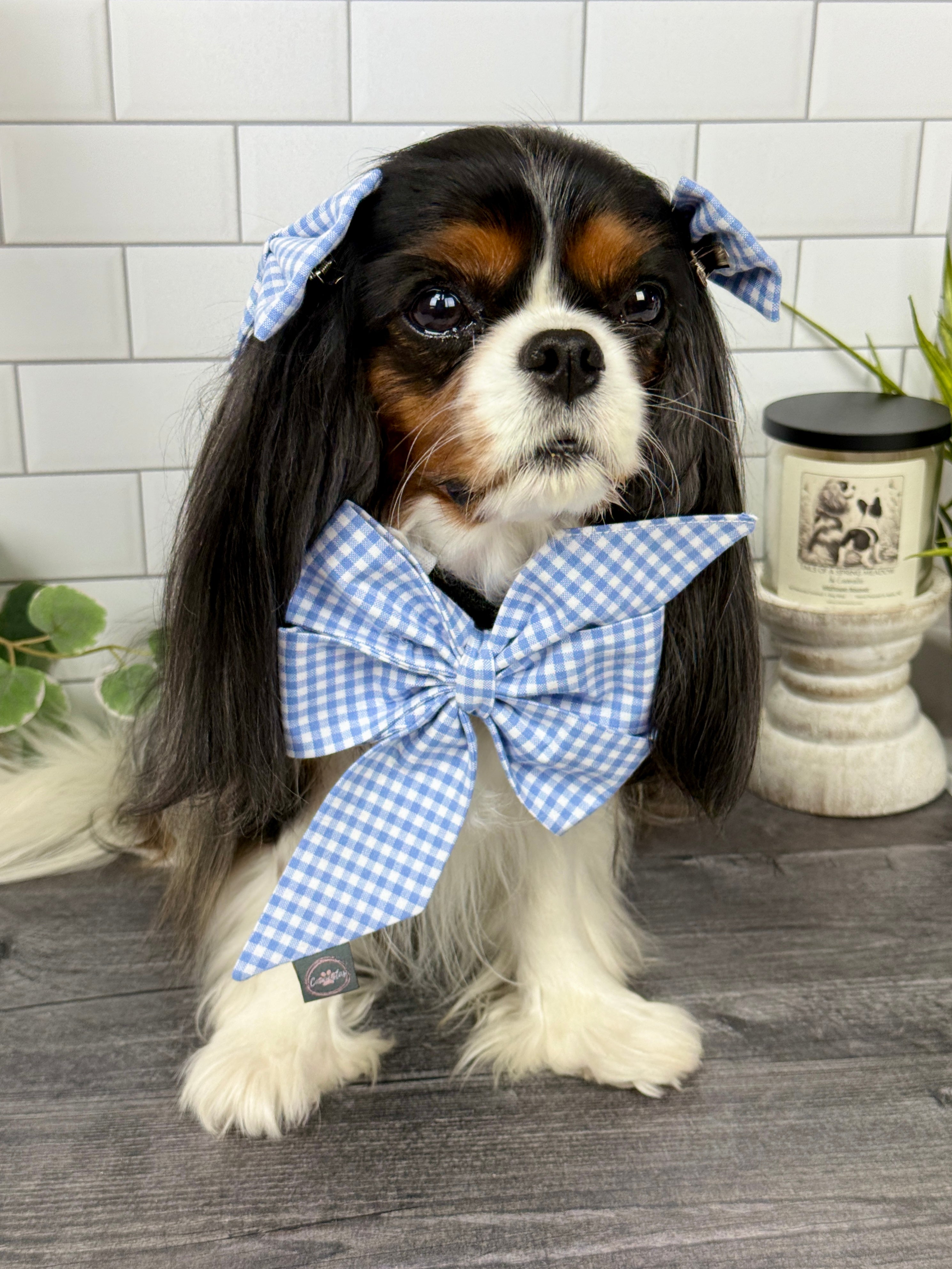 Strike a Pose Bow - Wildflower Meadow & Carolina Skies Gingham