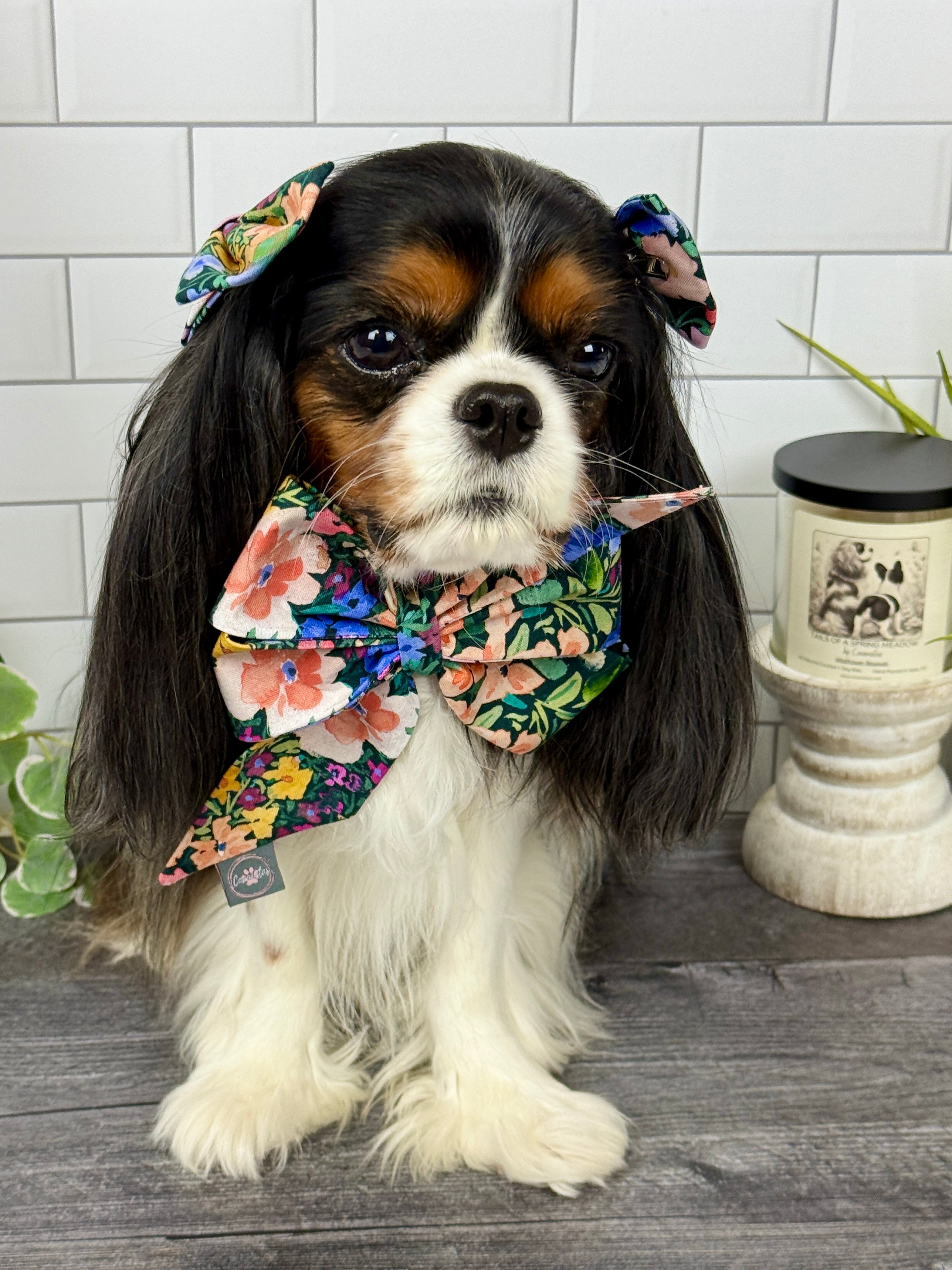 Strike a Pose Bow - Wildflower Meadow & Carolina Skies Gingham