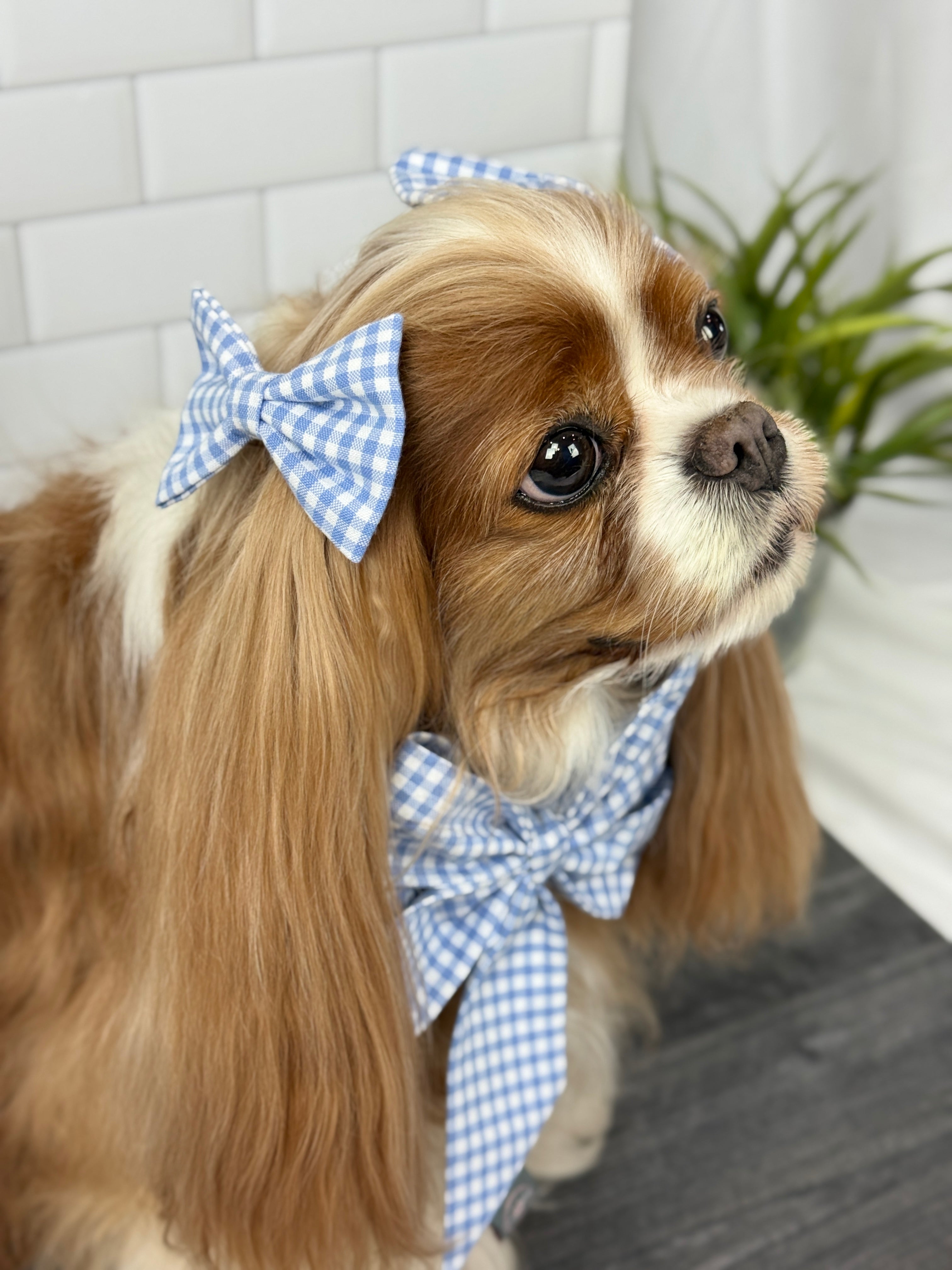 Accessories are a Must Hair Bows - Wildflower Meadow & Carolina Skies Gingham