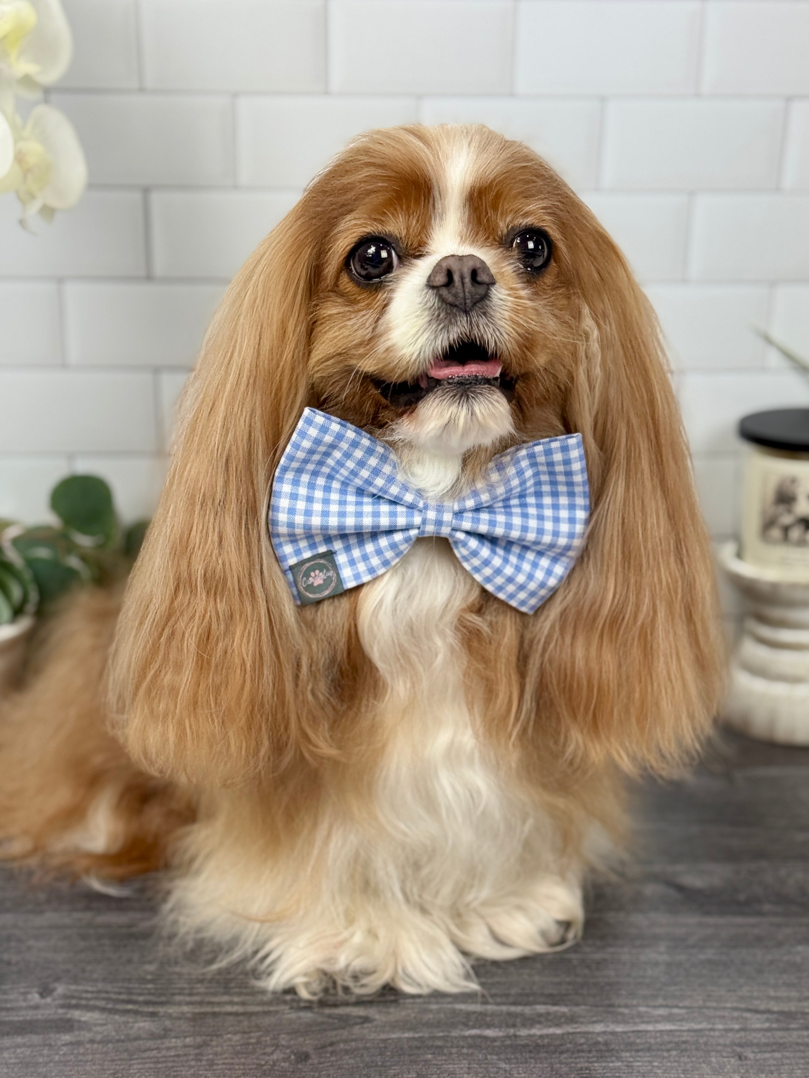Dress to Impress Bow-Tie - Wildflower Meadow & Carolina Skies Gingham