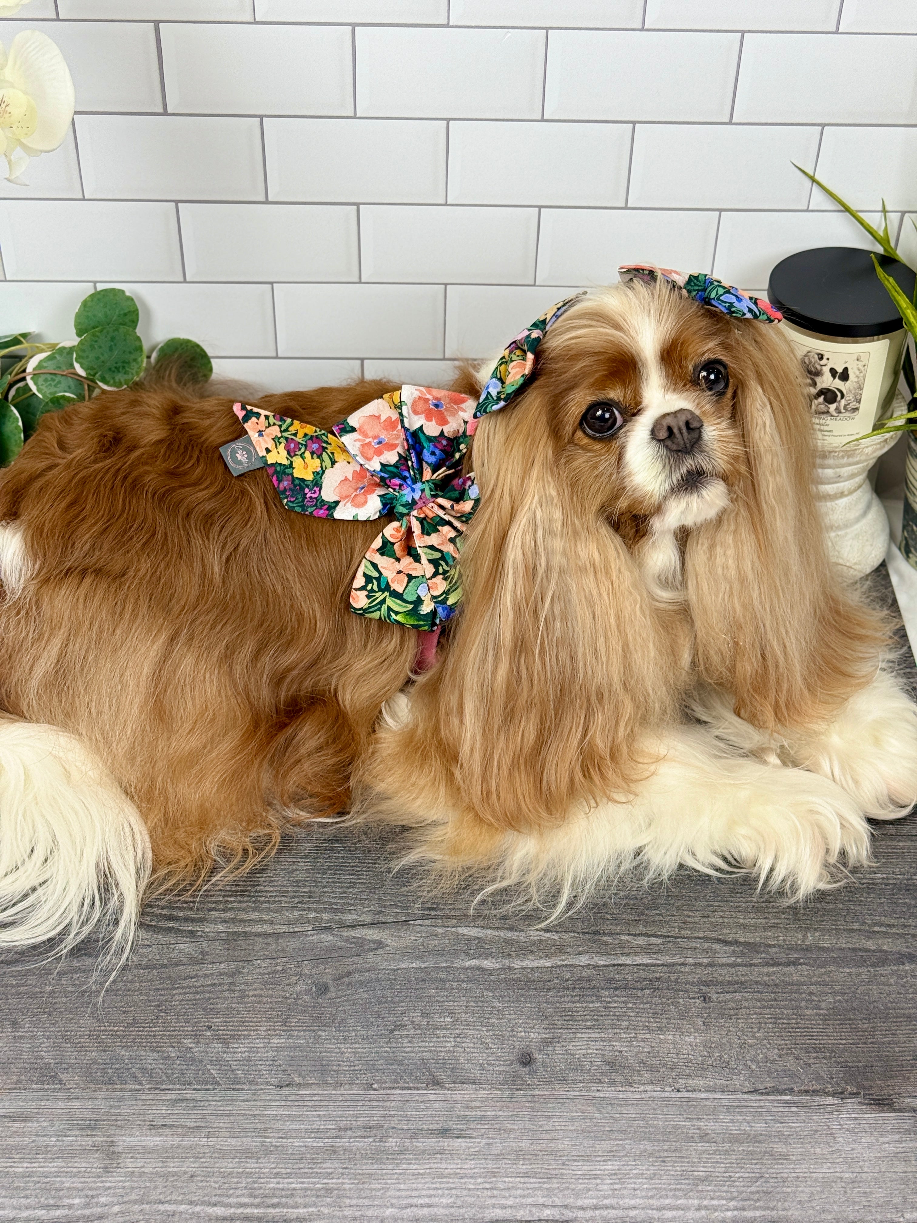 Strike a Pose Bow - Wildflower Meadow & Carolina Skies Gingham