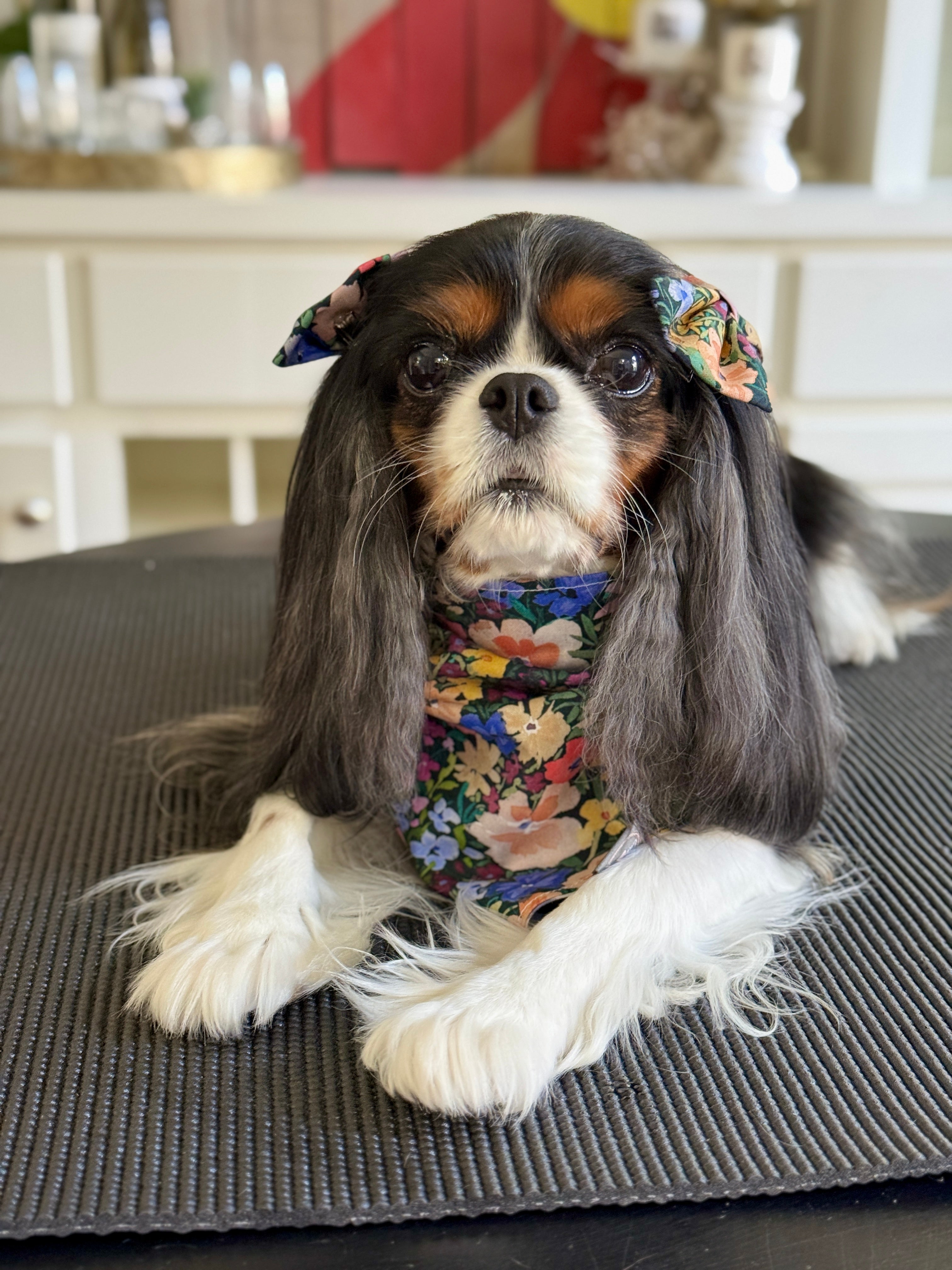 Intermission Wardrobe Change Reversible Bandana - Wildflower Meadow & Carolina Sky Gingham