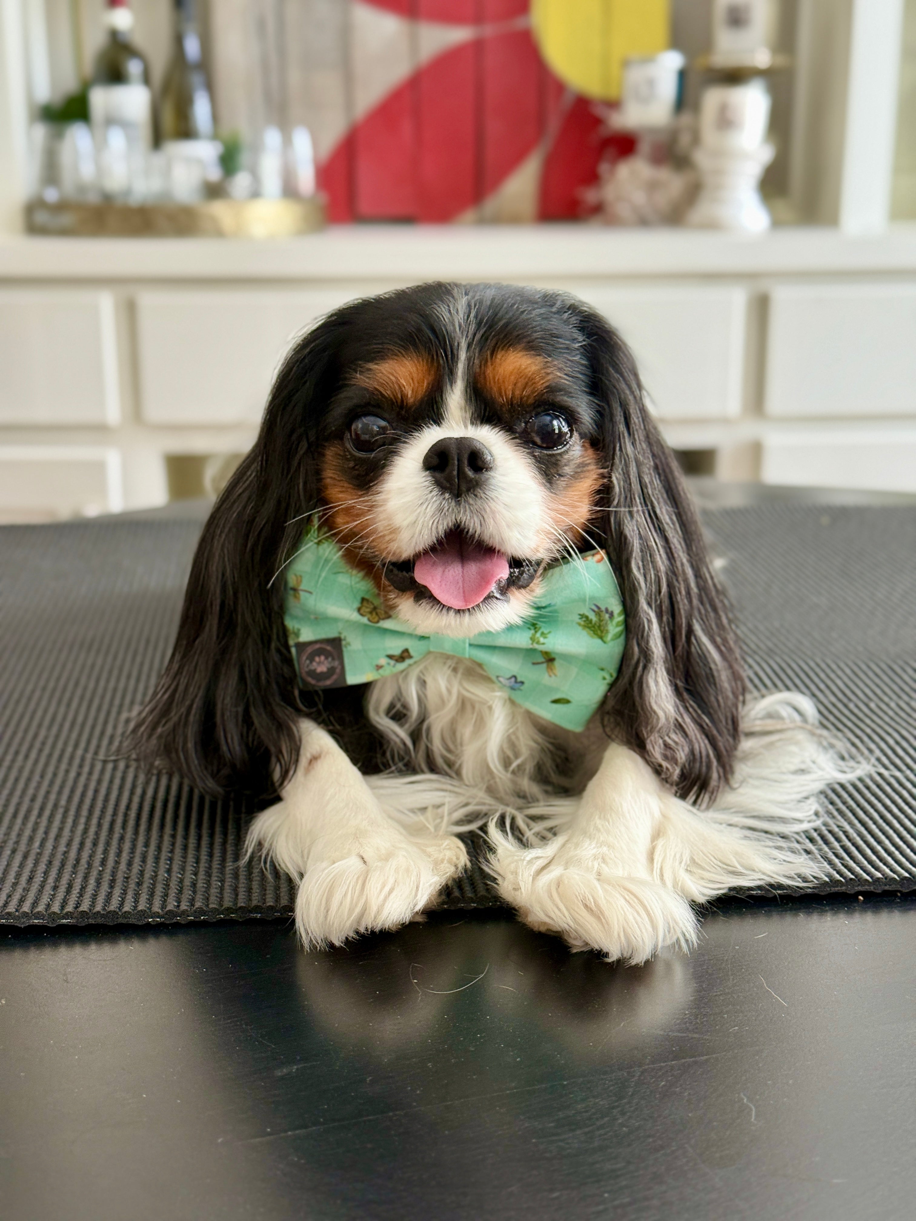 Dress to Impress Bow Tie - Little Garden Friends