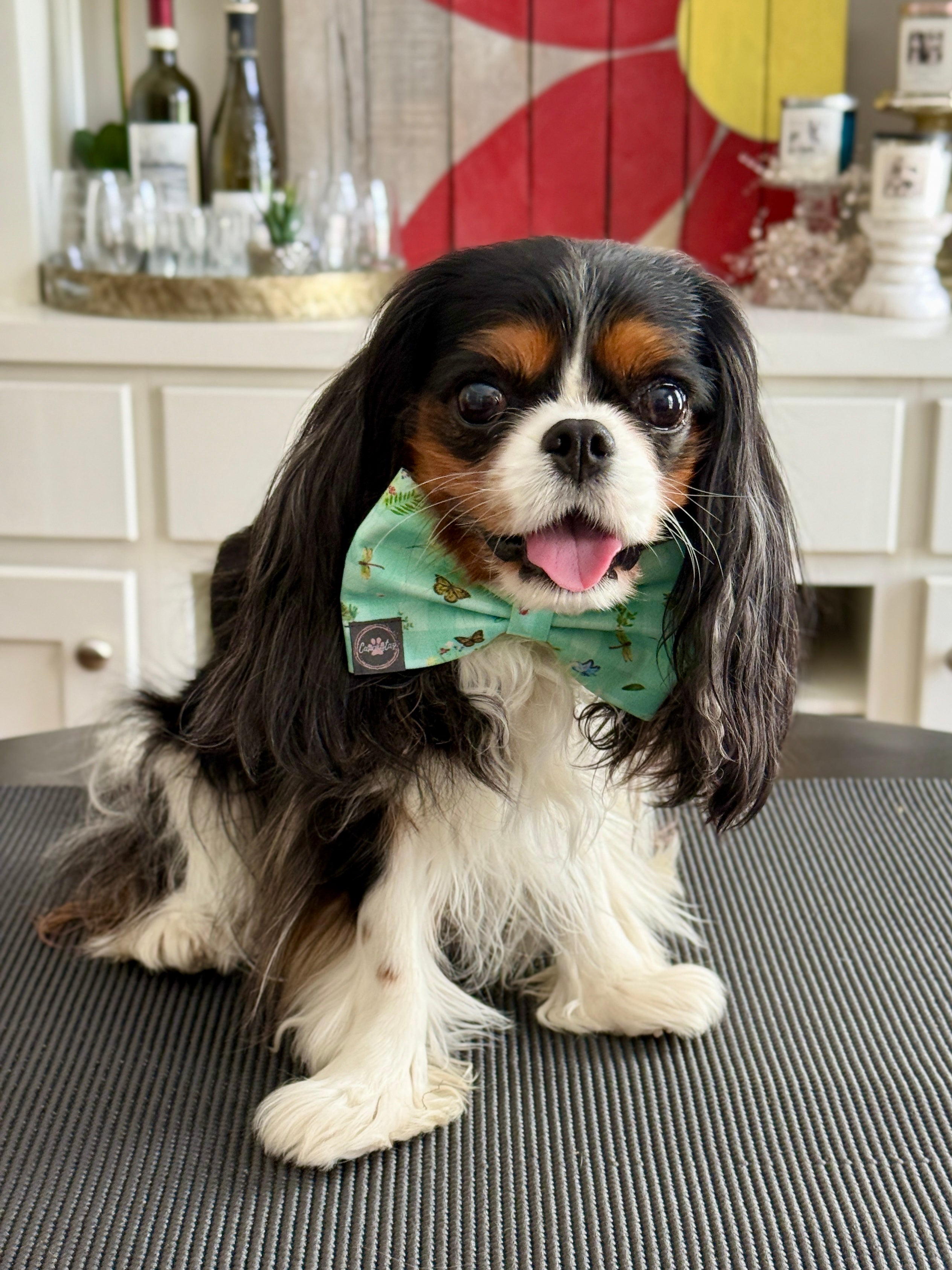 Dress to Impress Bow Tie - Little Garden Friends