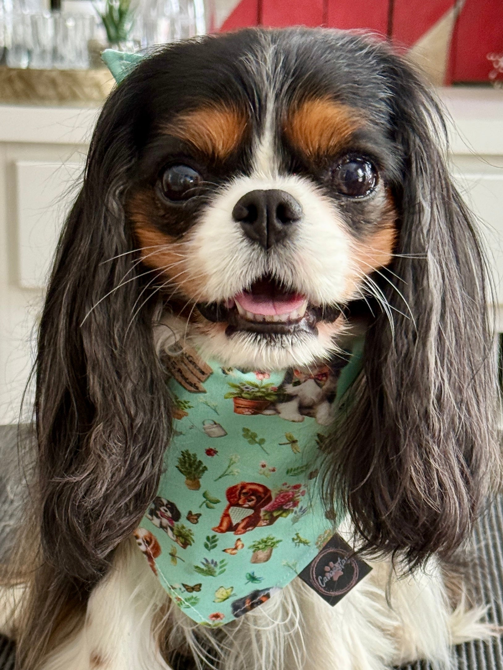 Intermission Wardrobe Change Reversible Bandana - Cavalier Garden Party & Little Garden Friends