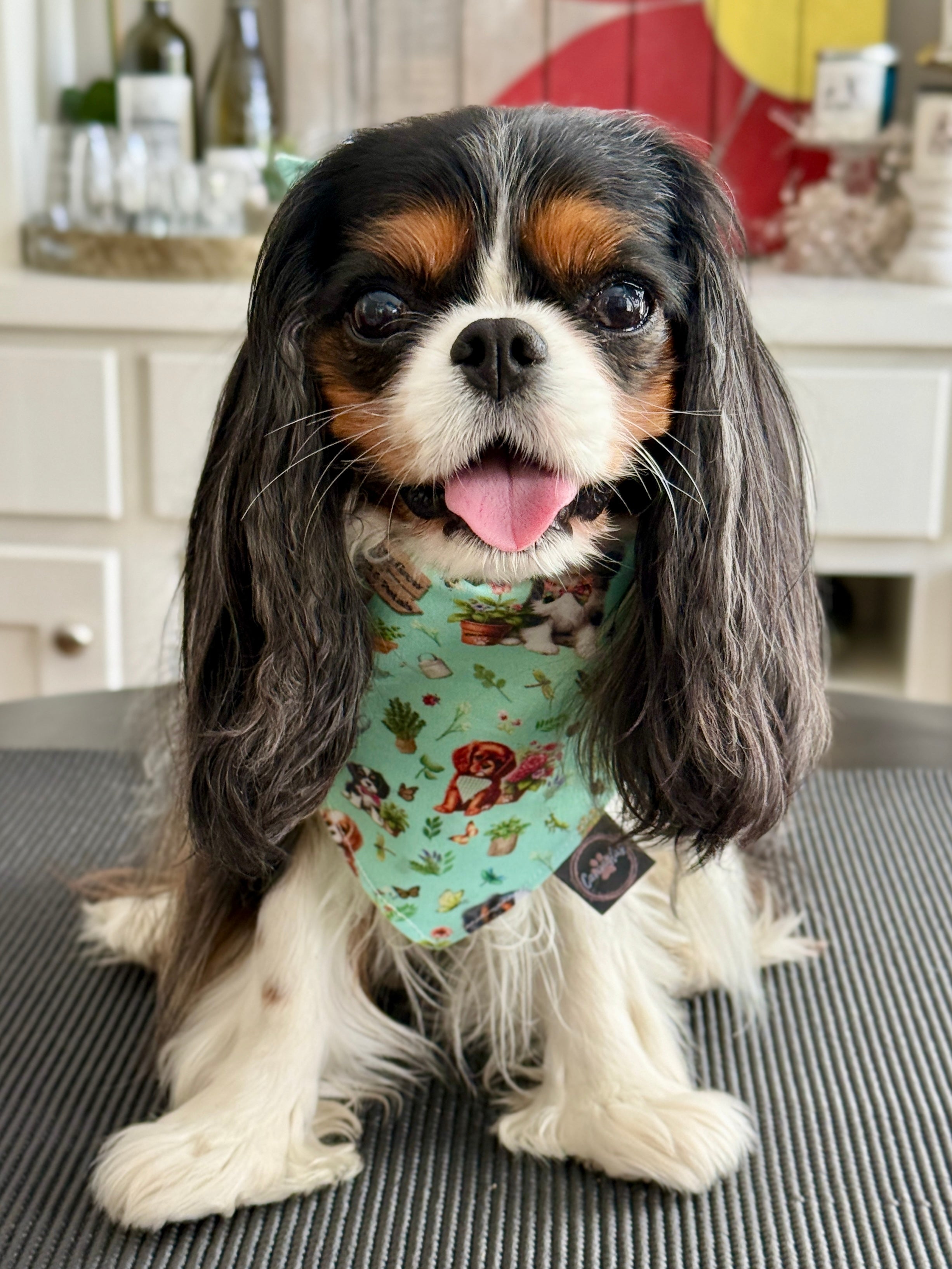 Intermission Wardrobe Change Reversible Bandana - Cavalier Garden Party & Little Garden Friends