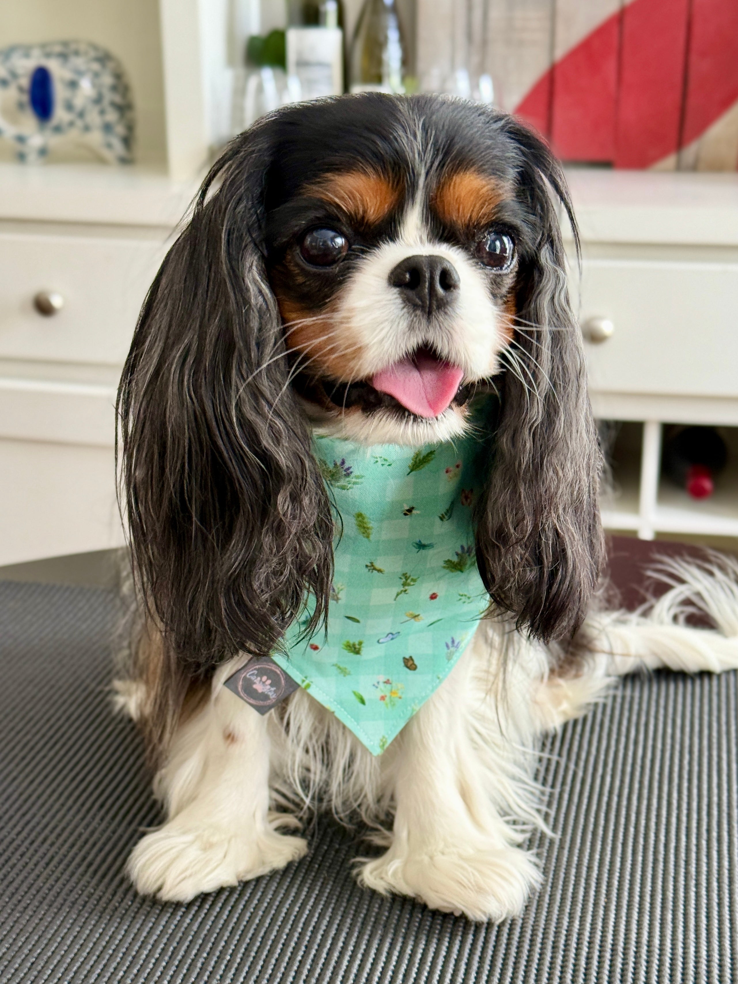 Intermission Wardrobe Change Reversible Bandana - Cavalier Garden Party & Little Garden Friends