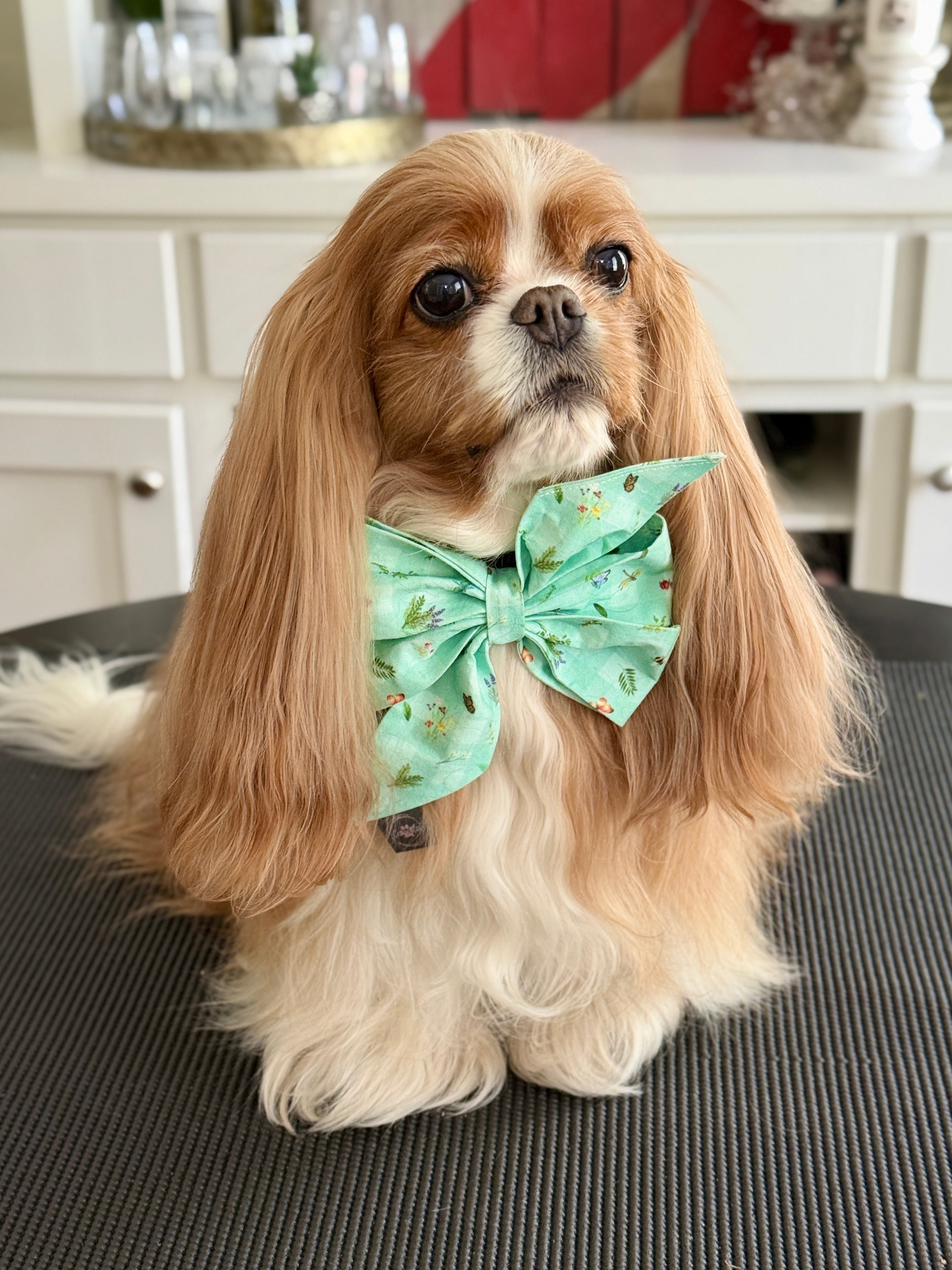 Strike a Pose Bow - Little Garden Friends