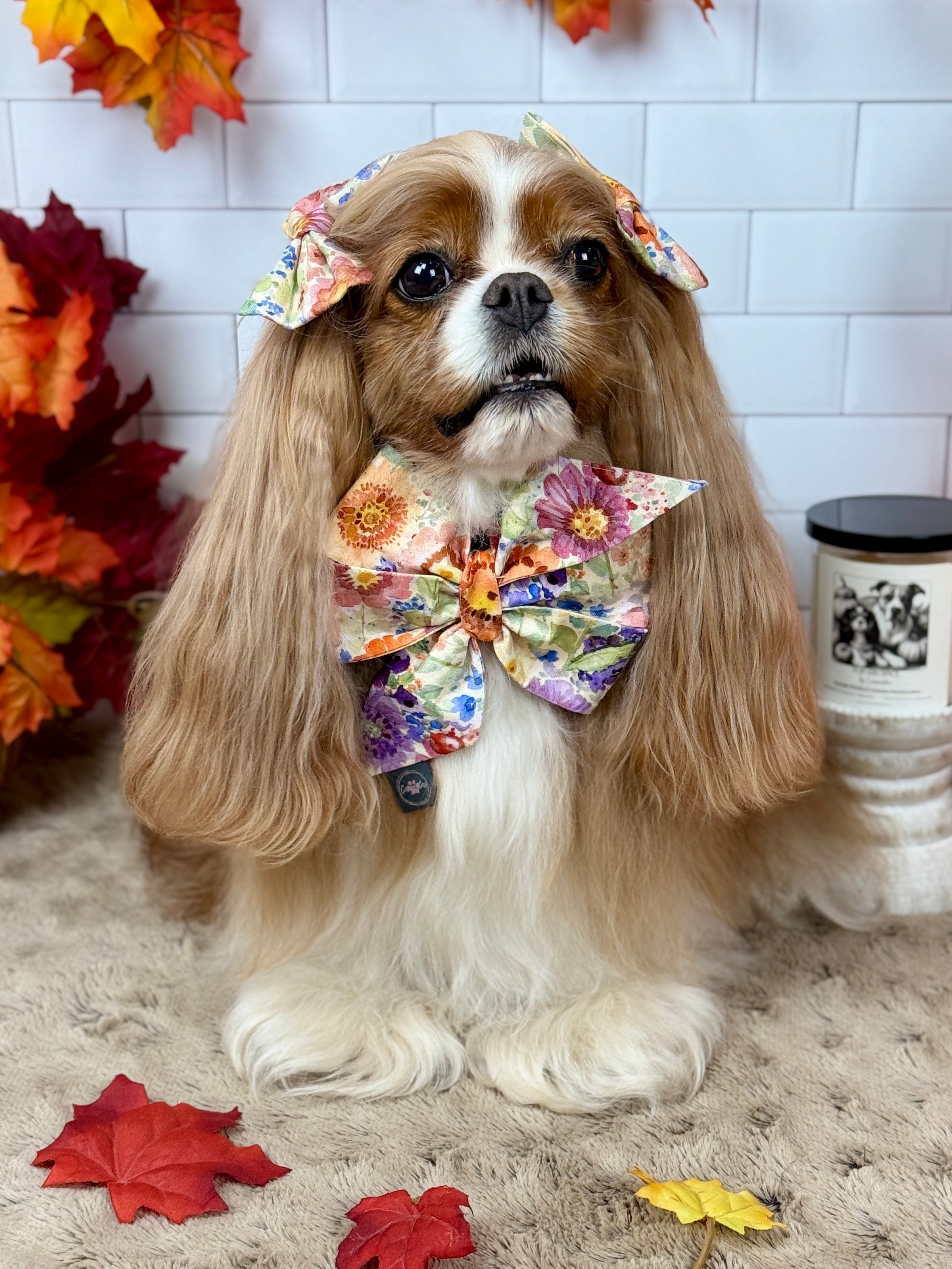 Strike a Pose Bow - Sunset Bouquet or Pumpkin Gingham