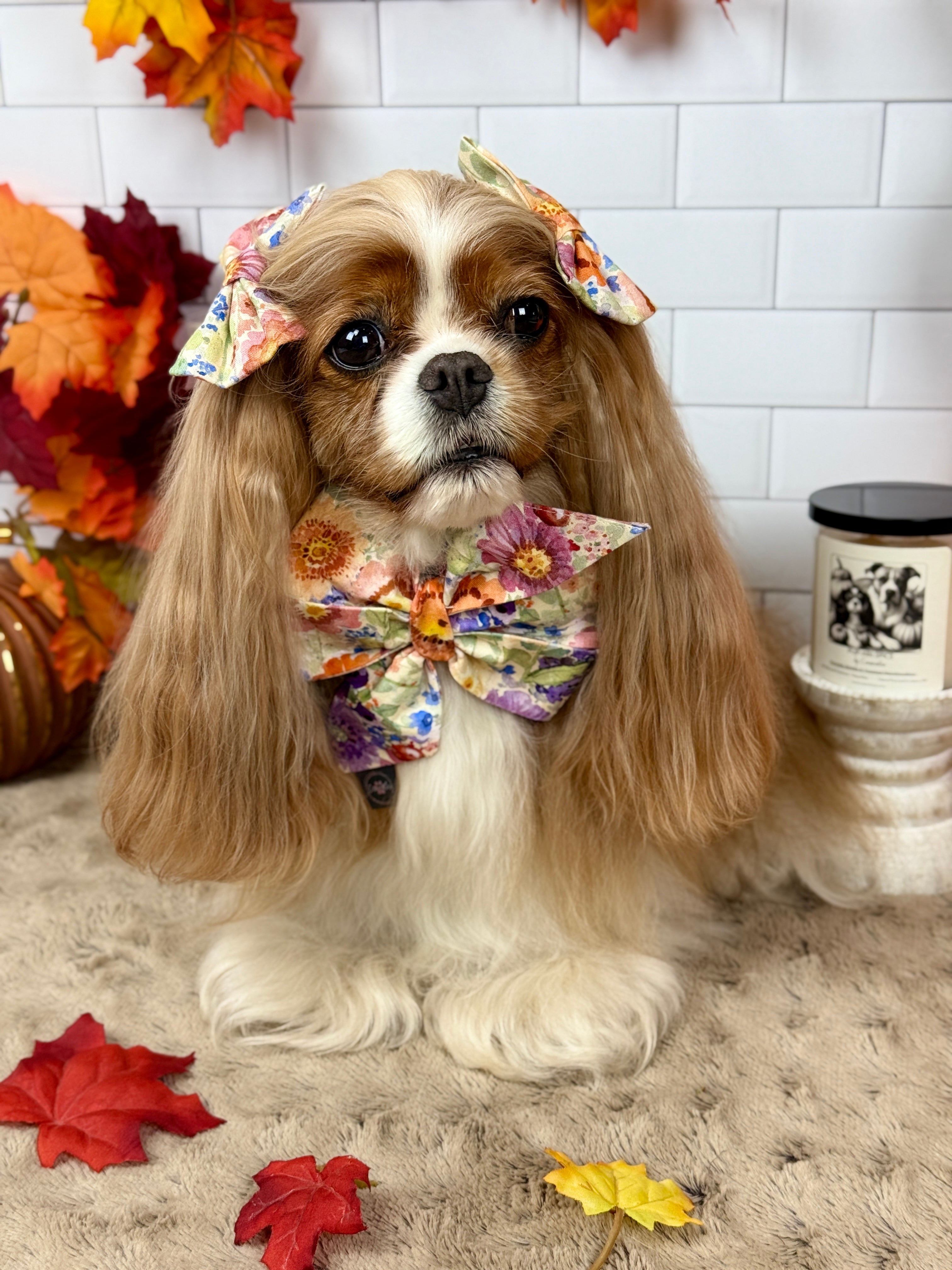 Strike a Pose Bow - Sunset Bouquet or Pumpkin Gingham