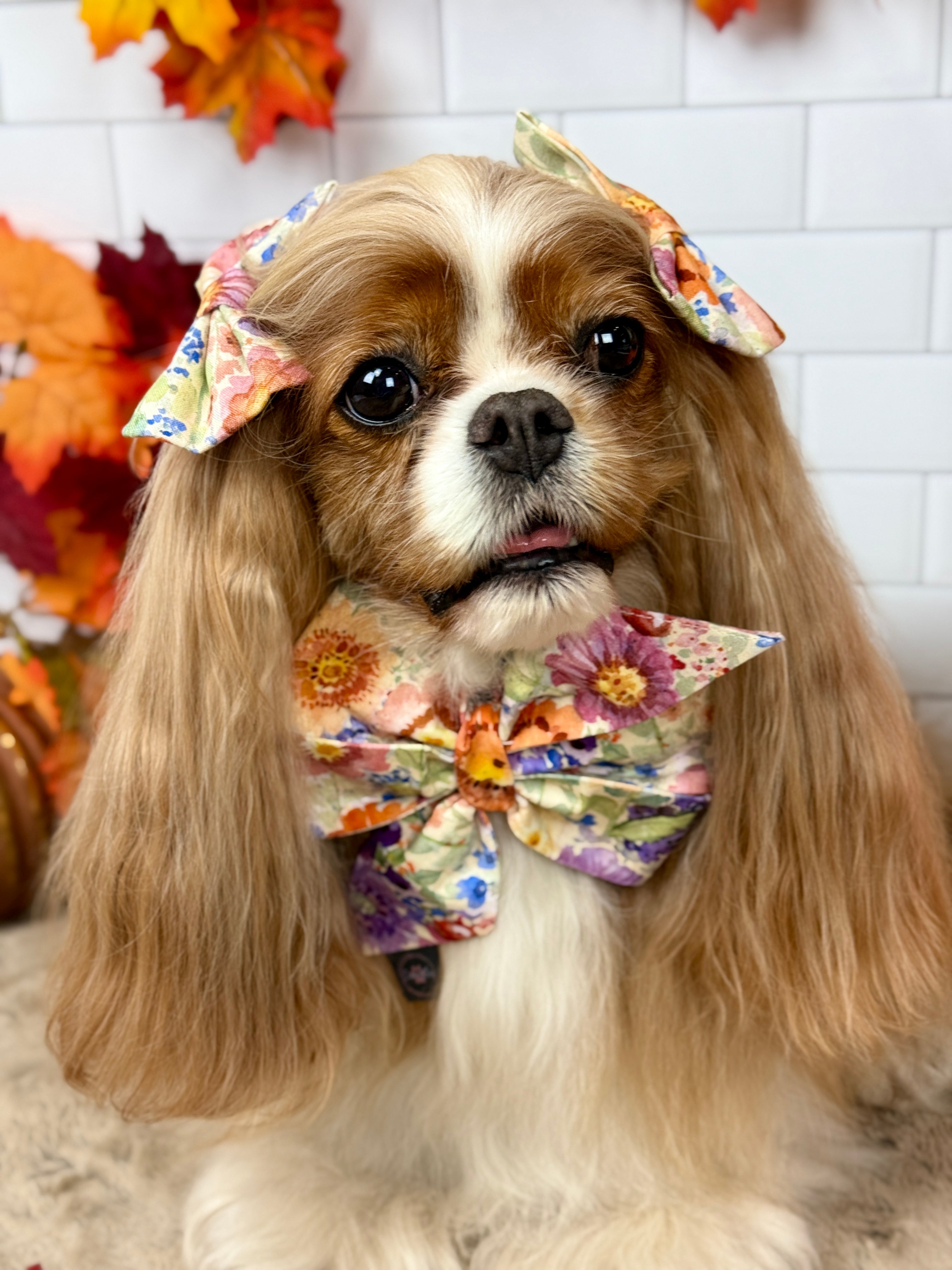 Strike a Pose Bow - Sunset Bouquet or Pumpkin Gingham