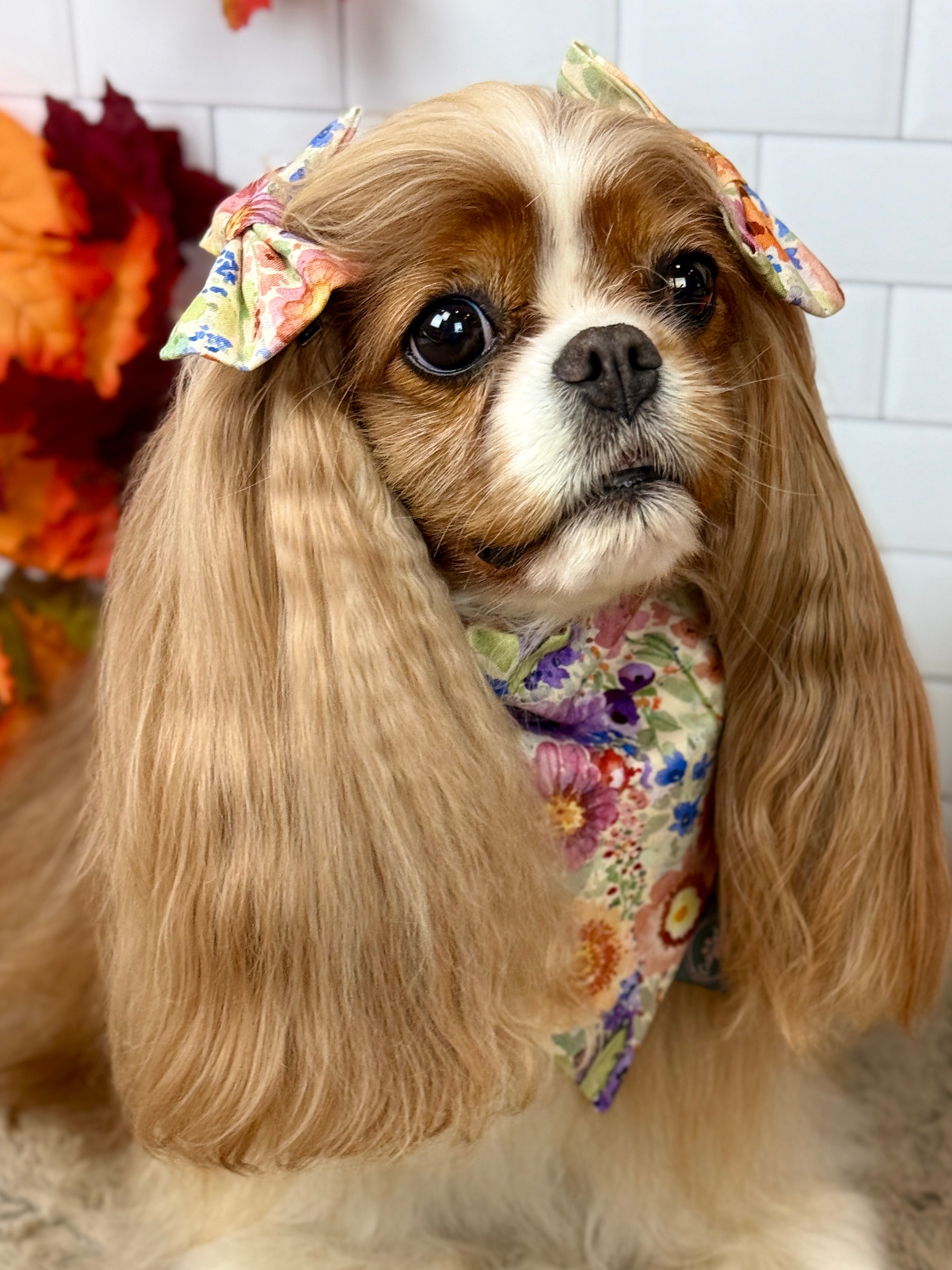 Accessories are a Must Hair Bows - Sunset Bouquet or Pumpkin Gingham
