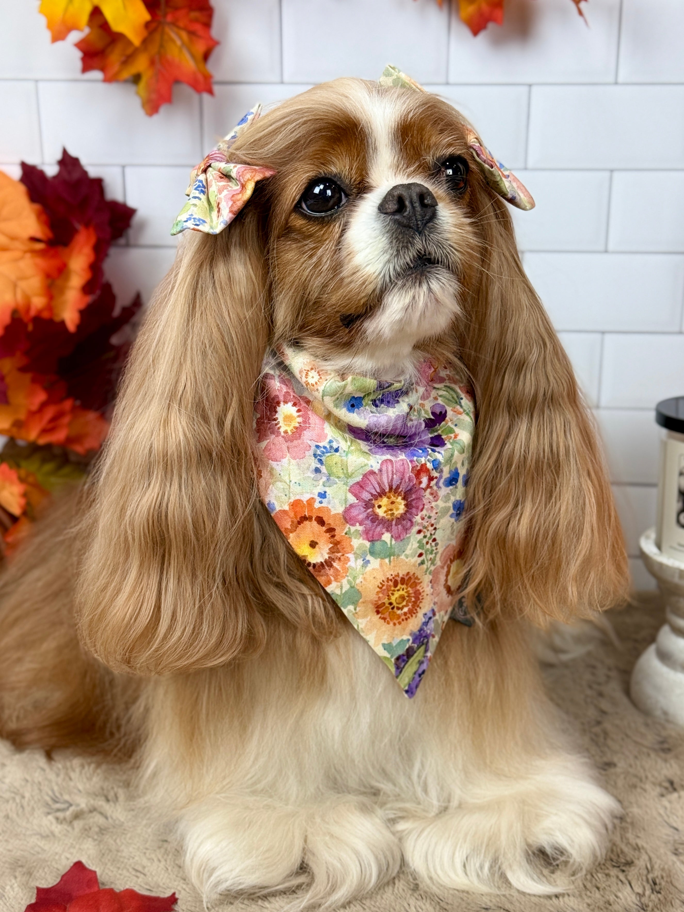 Intermission Wardrobe Change Reversible Bandana - Sunset Bouquet & Pumpkin Gingham