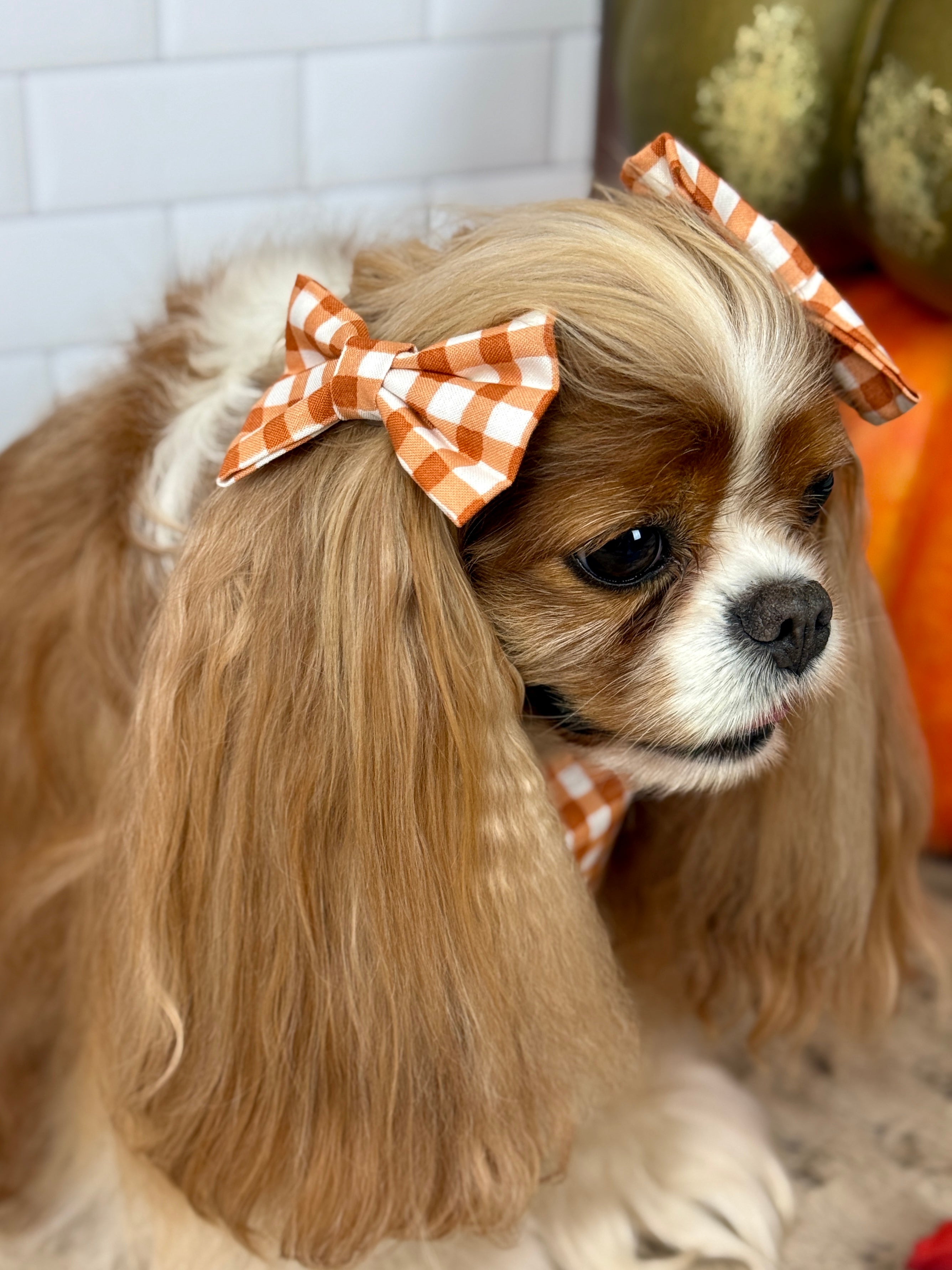Accessories are a Must Hair Bows - Sunset Bouquet or Pumpkin Gingham