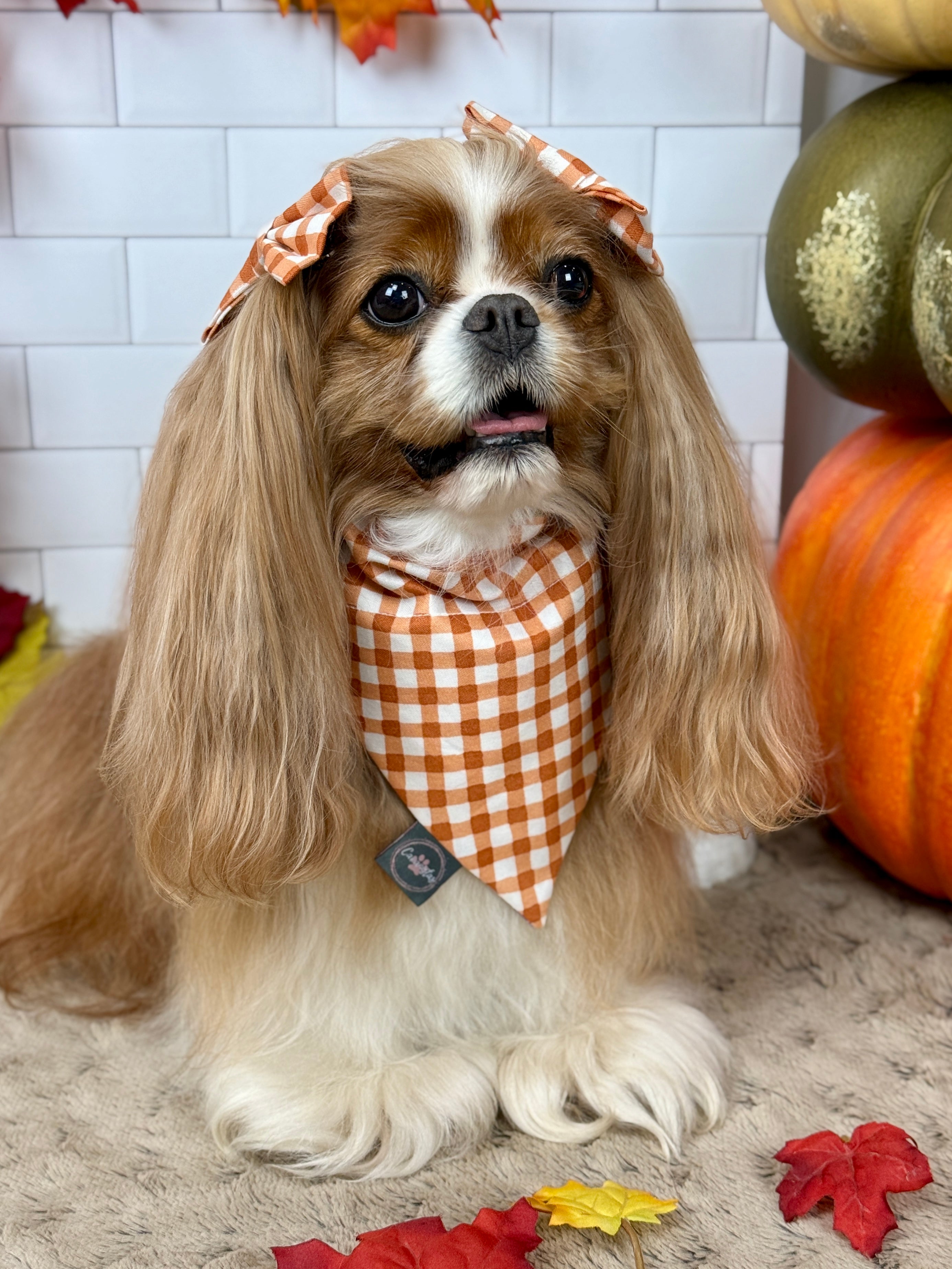 Intermission Wardrobe Change Reversible Bandana - Sunset Bouquet & Pumpkin Gingham