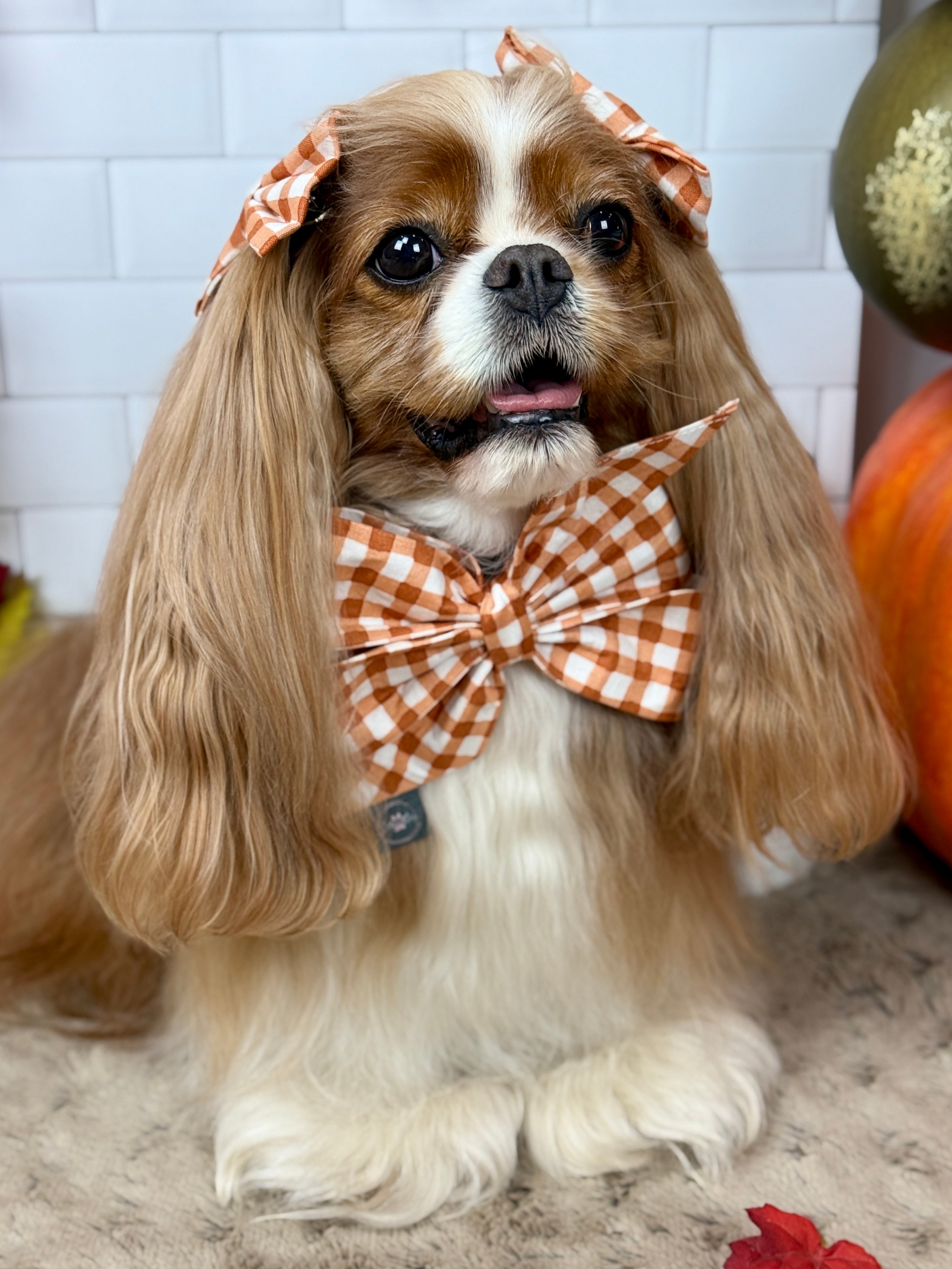 Strike a Pose Bow - Sunset Bouquet or Pumpkin Gingham