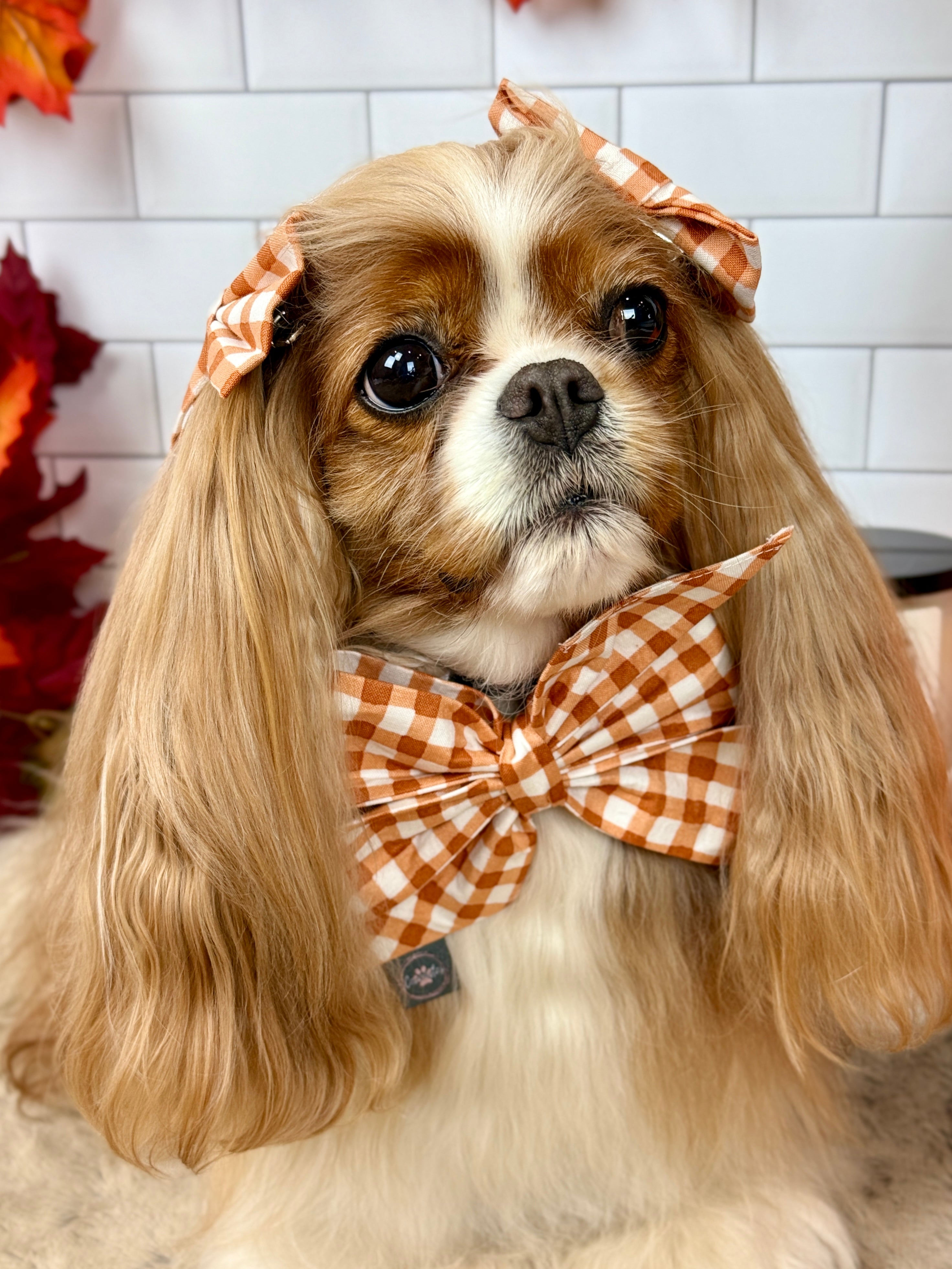 Strike a Pose Bow - Sunset Bouquet or Pumpkin Gingham