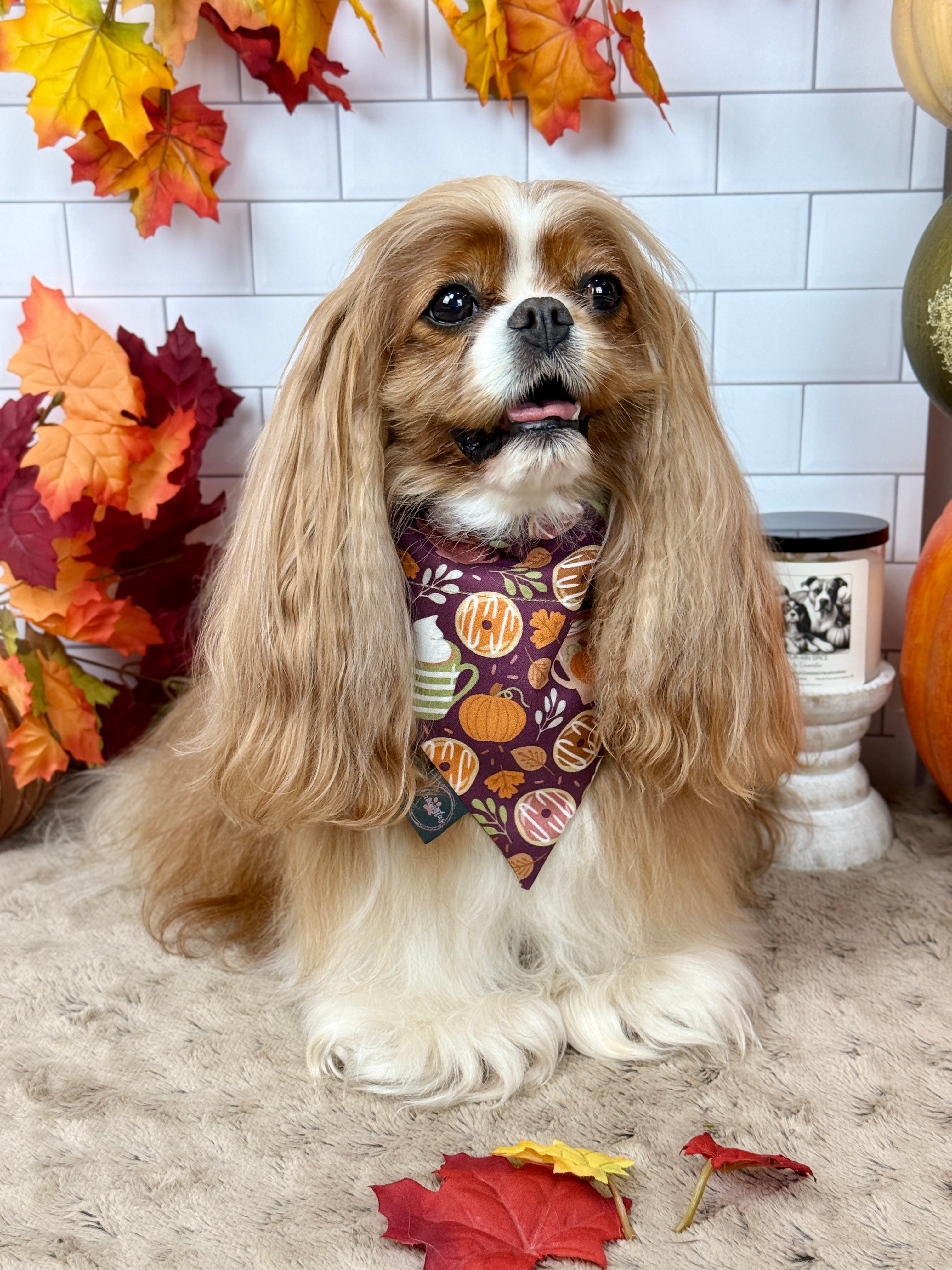 Intermission Wardrobe Change Reversible Bandana - Pumpkin Spice Life & Falling for Fall