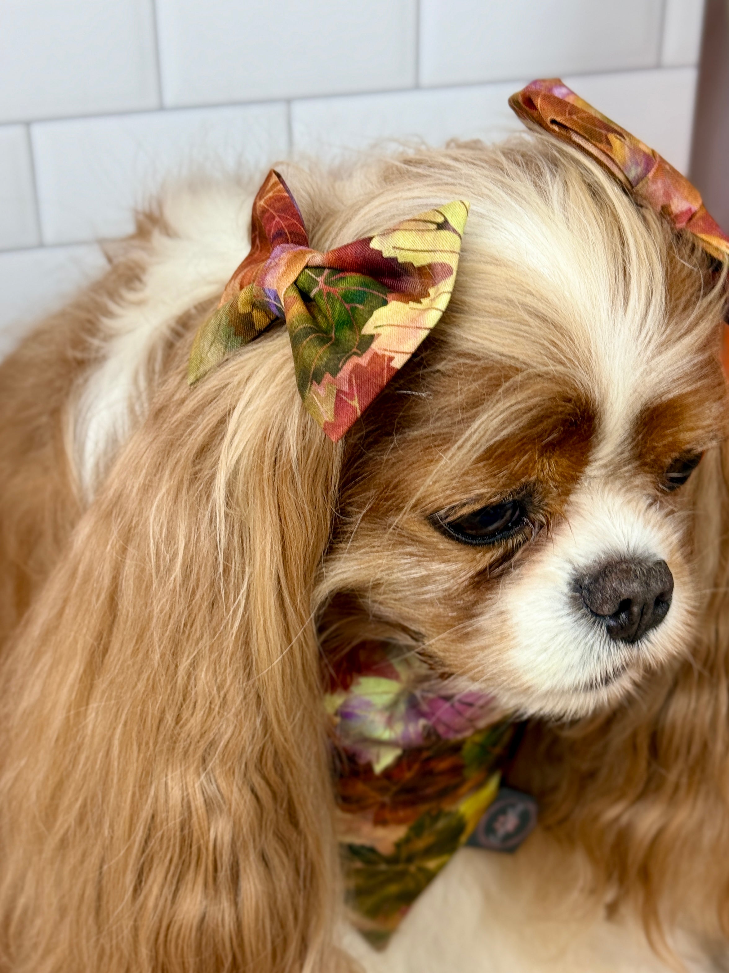 Accessories are a Must Hair Bows - Falling for Fall