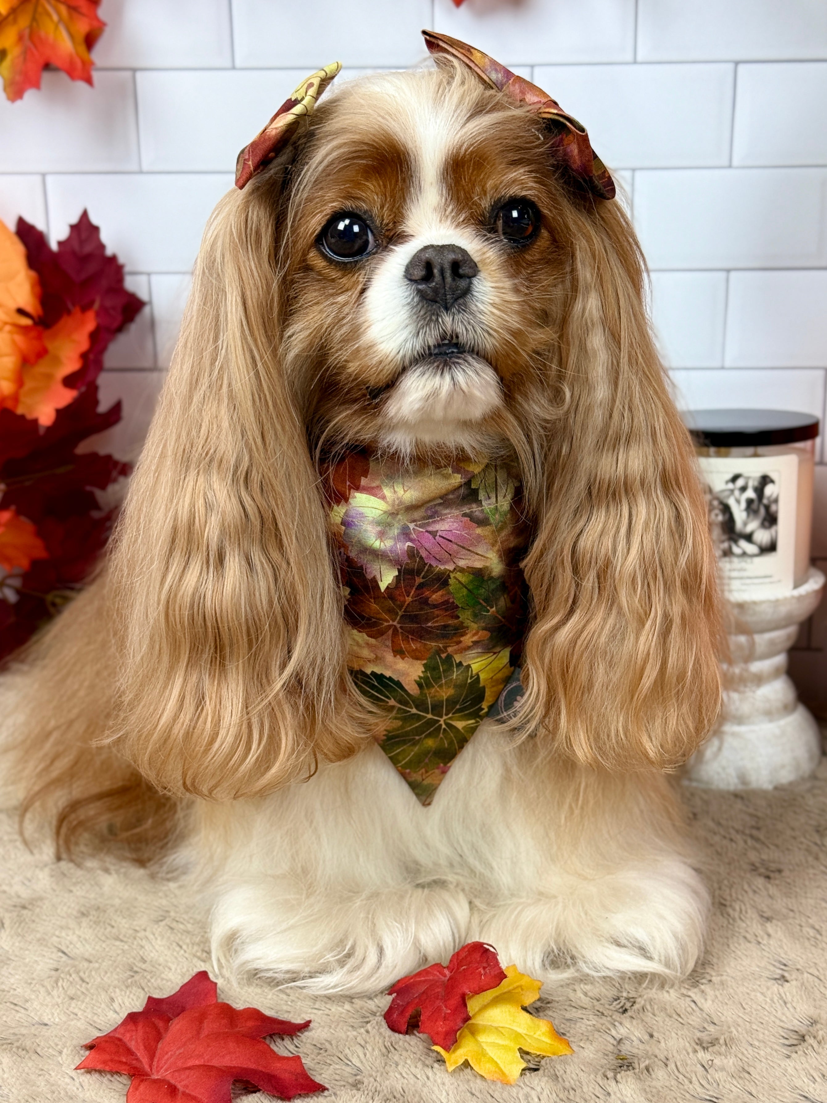 Intermission Wardrobe Change Reversible Bandana - Pumpkin Spice Life & Falling for Fall