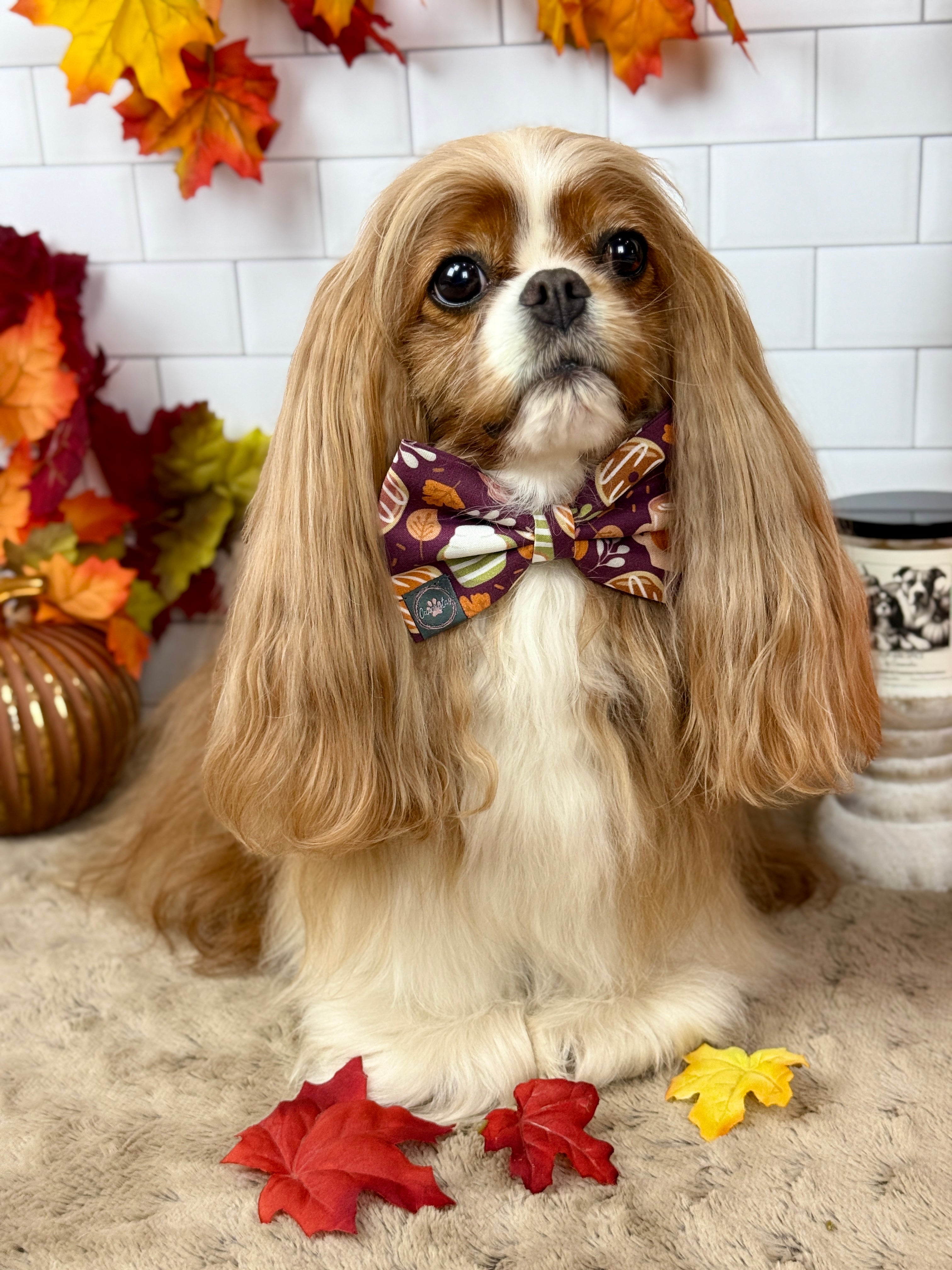 Dress to Impress Bow Tie - Pumpkin Spice Life or Falling for Fall