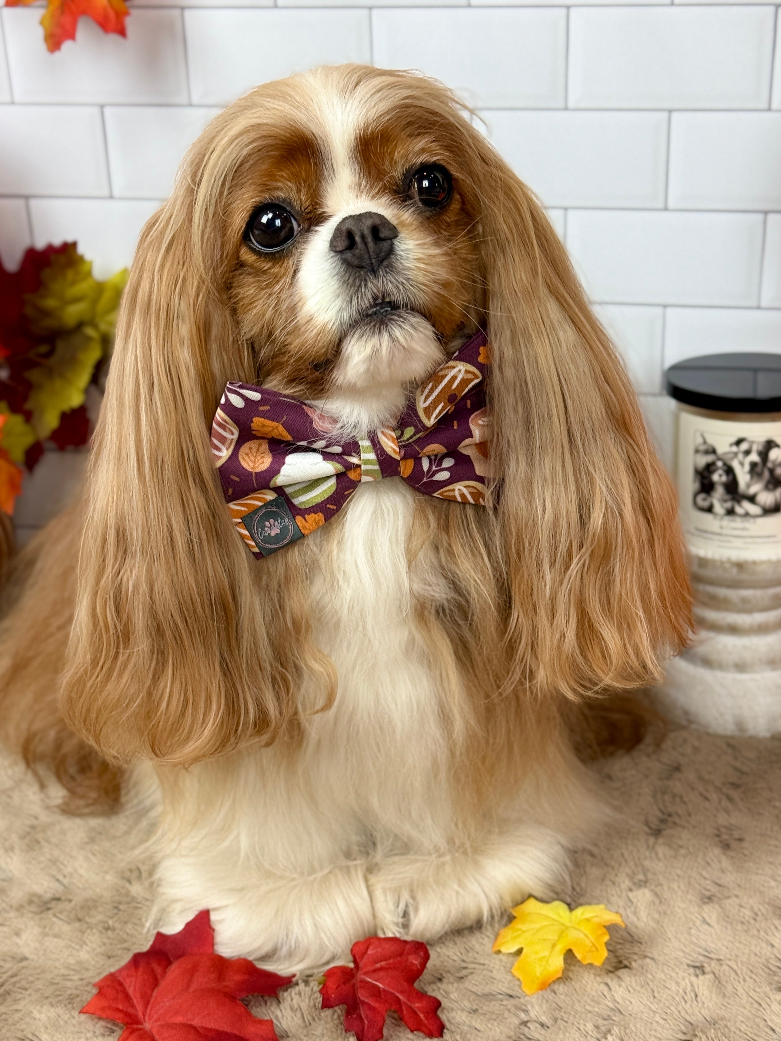 Dress to Impress Bow Tie - Pumpkin Spice Life or Falling for Fall