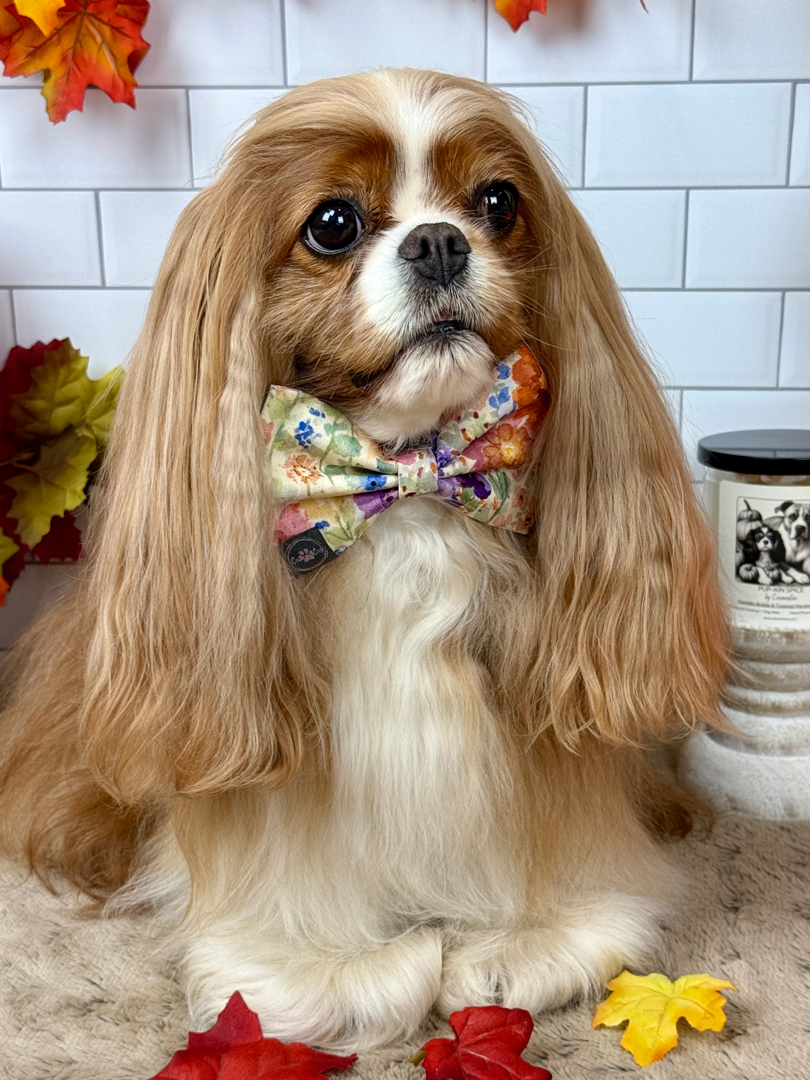 Dress to Impress Bow Tie - Sunset Bouquet or Pumpkin Gingham