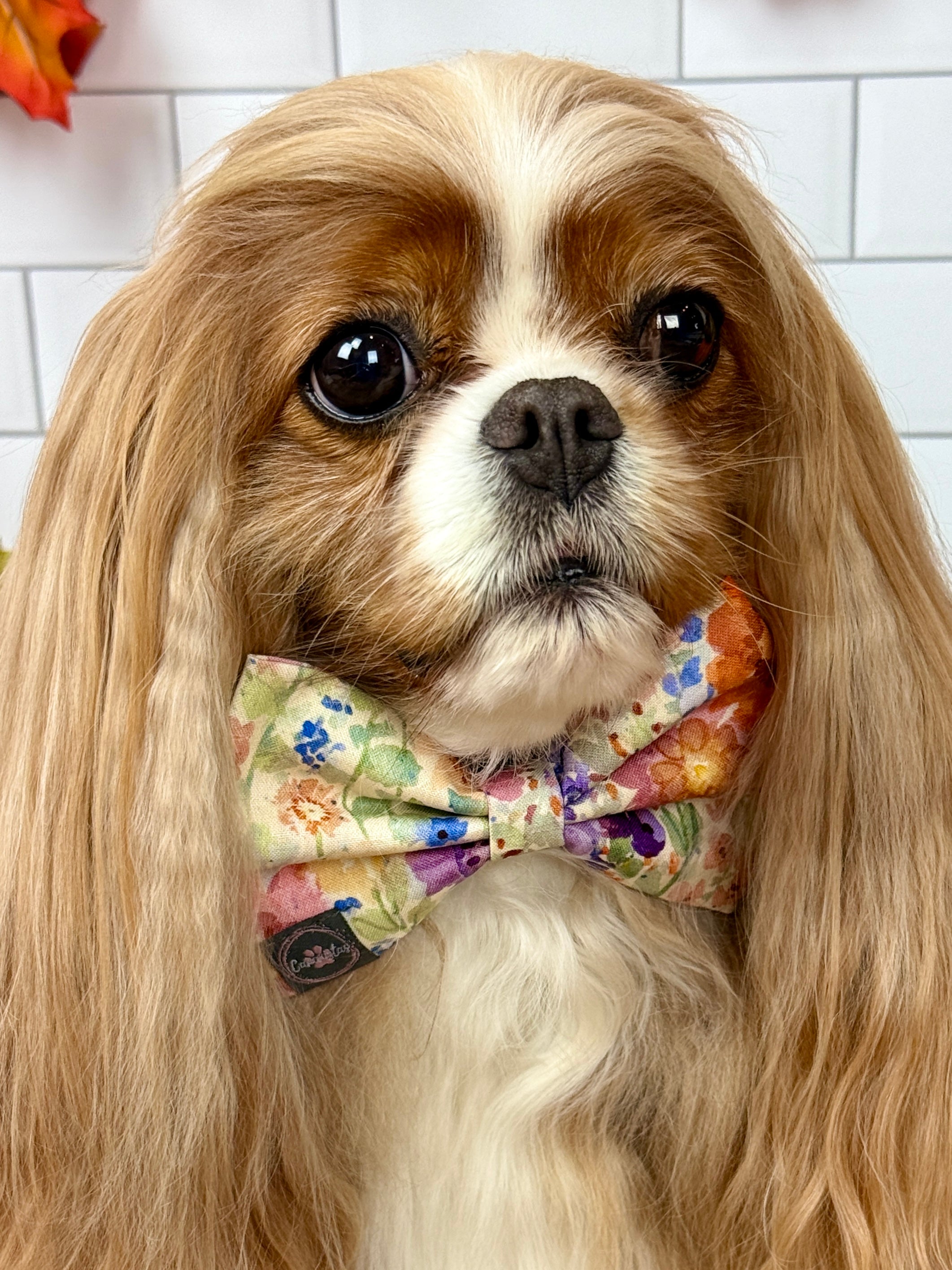 Dress to Impress Bow Tie - Sunset Bouquet or Pumpkin Gingham