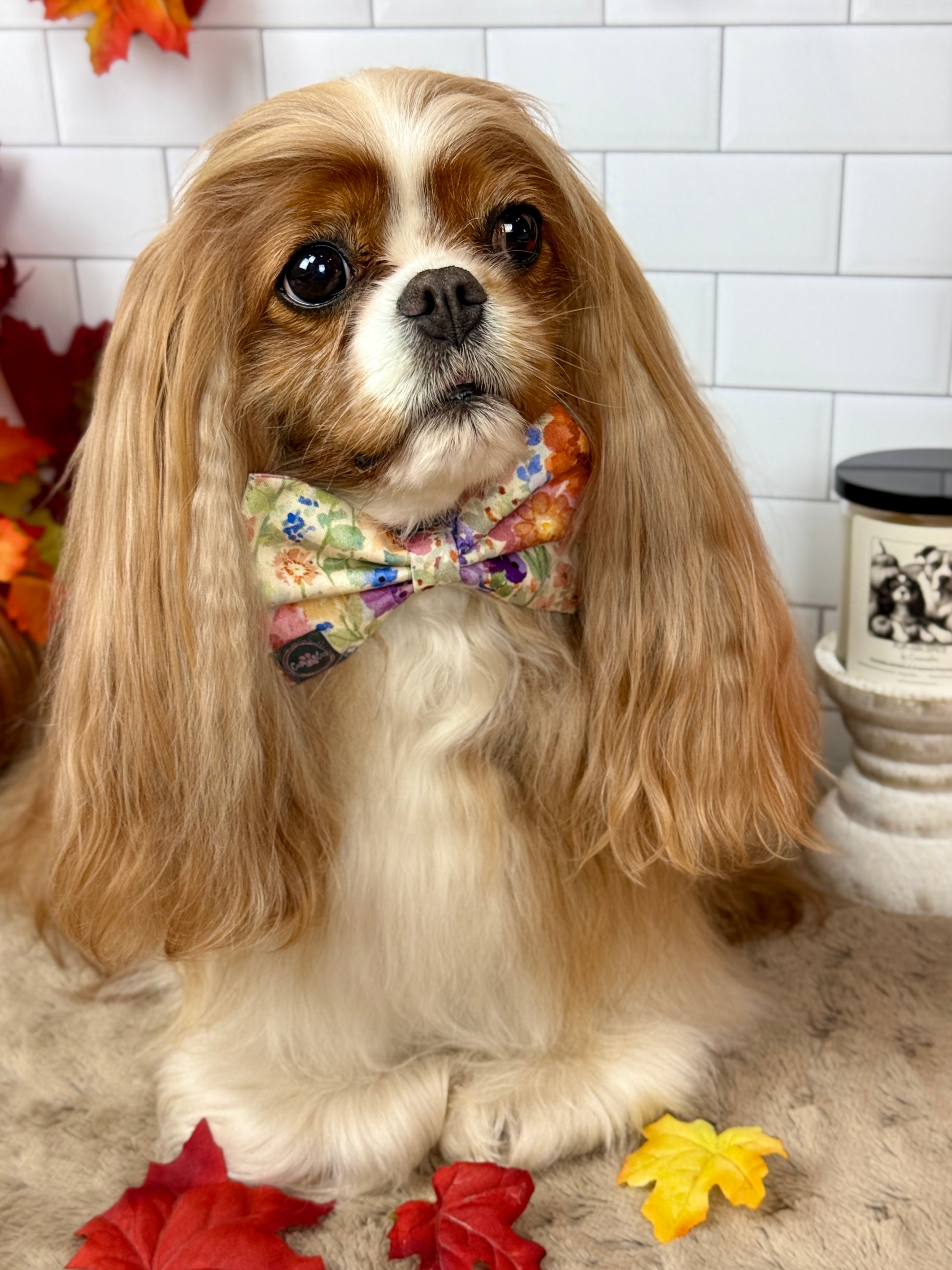 Dress to Impress Bow Tie - Sunset Bouquet or Pumpkin Gingham