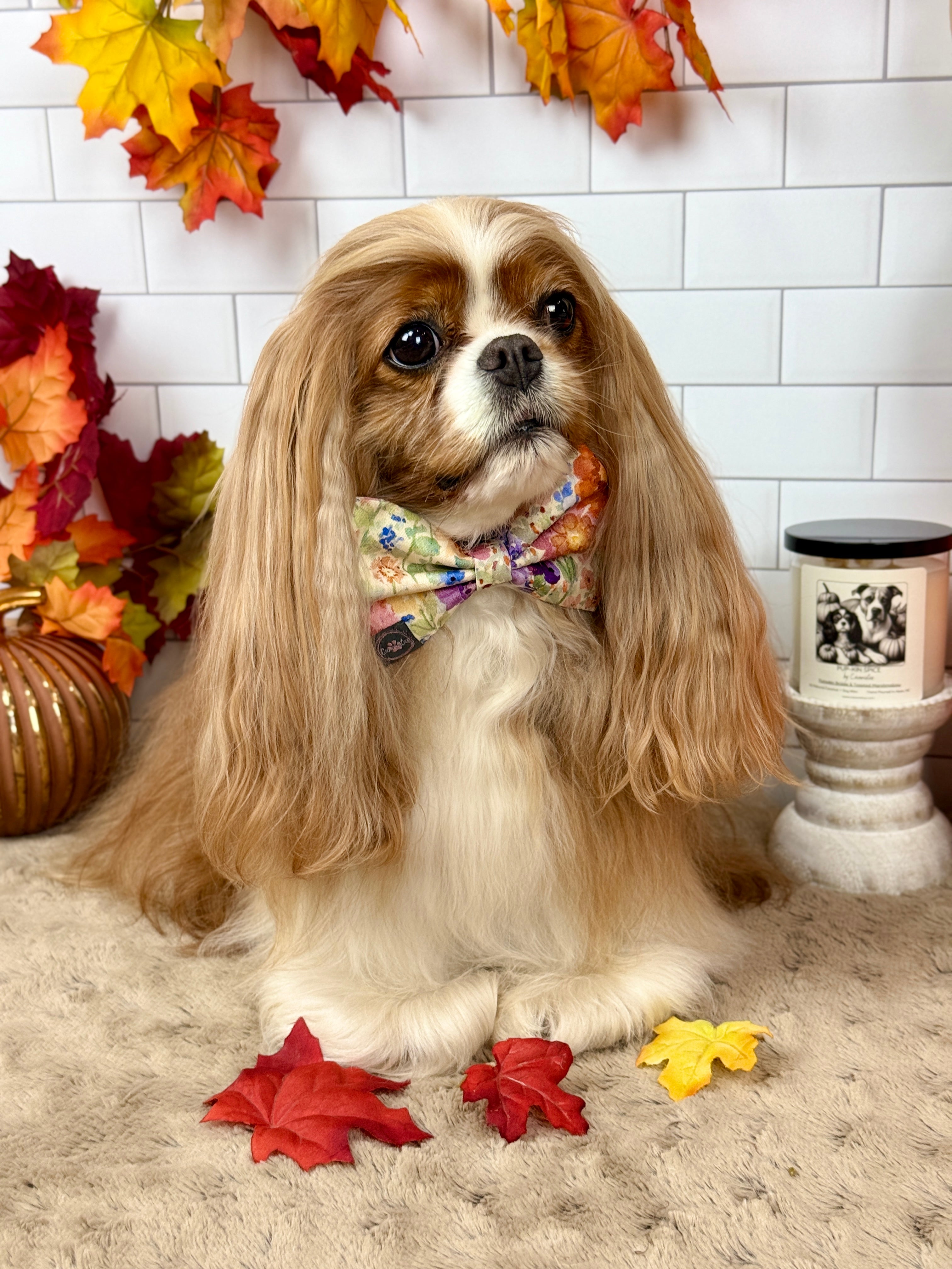 Dress to Impress Bow Tie - Sunset Bouquet or Pumpkin Gingham