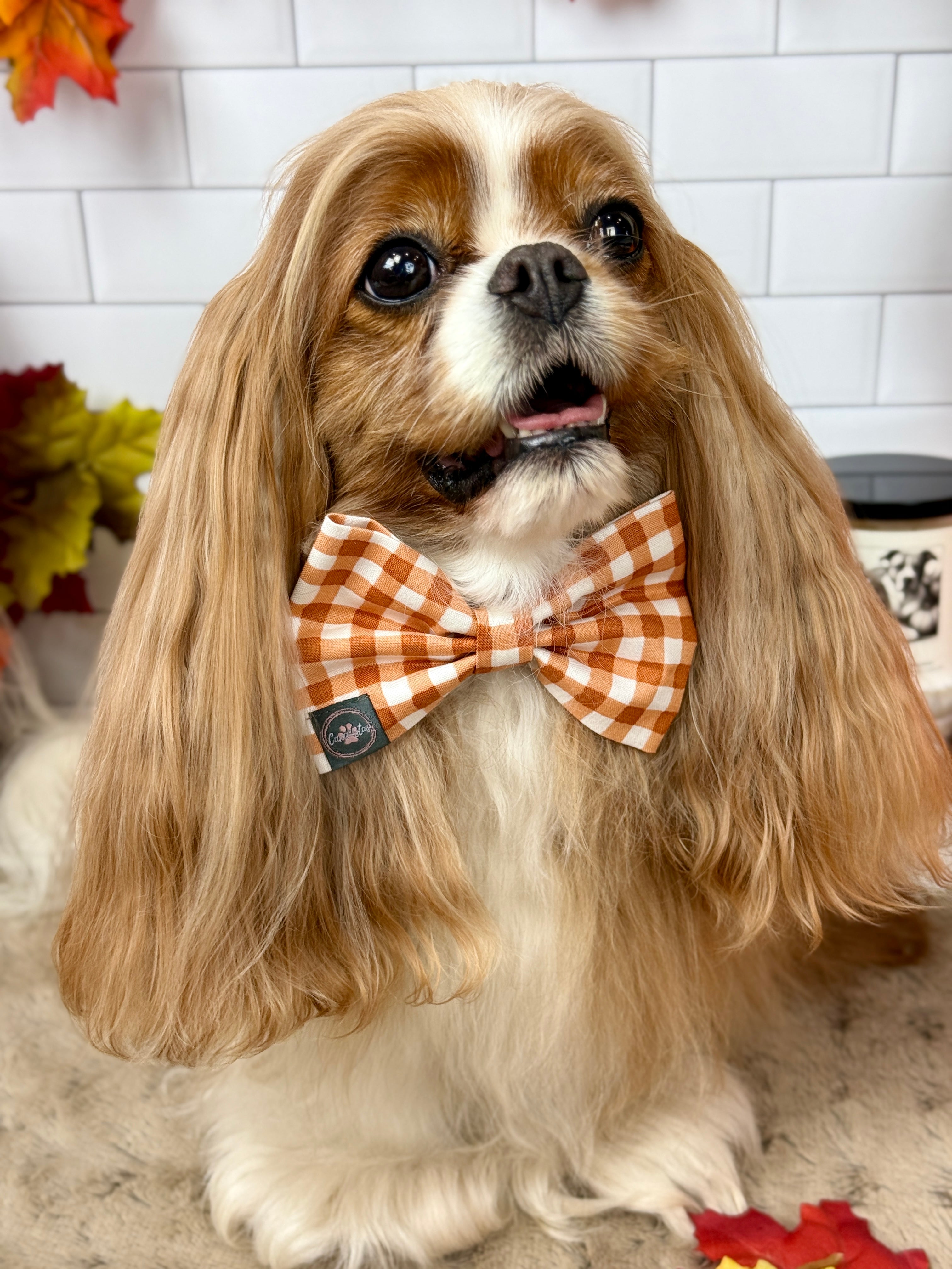 Dress to Impress Bow Tie - Sunset Bouquet or Pumpkin Gingham