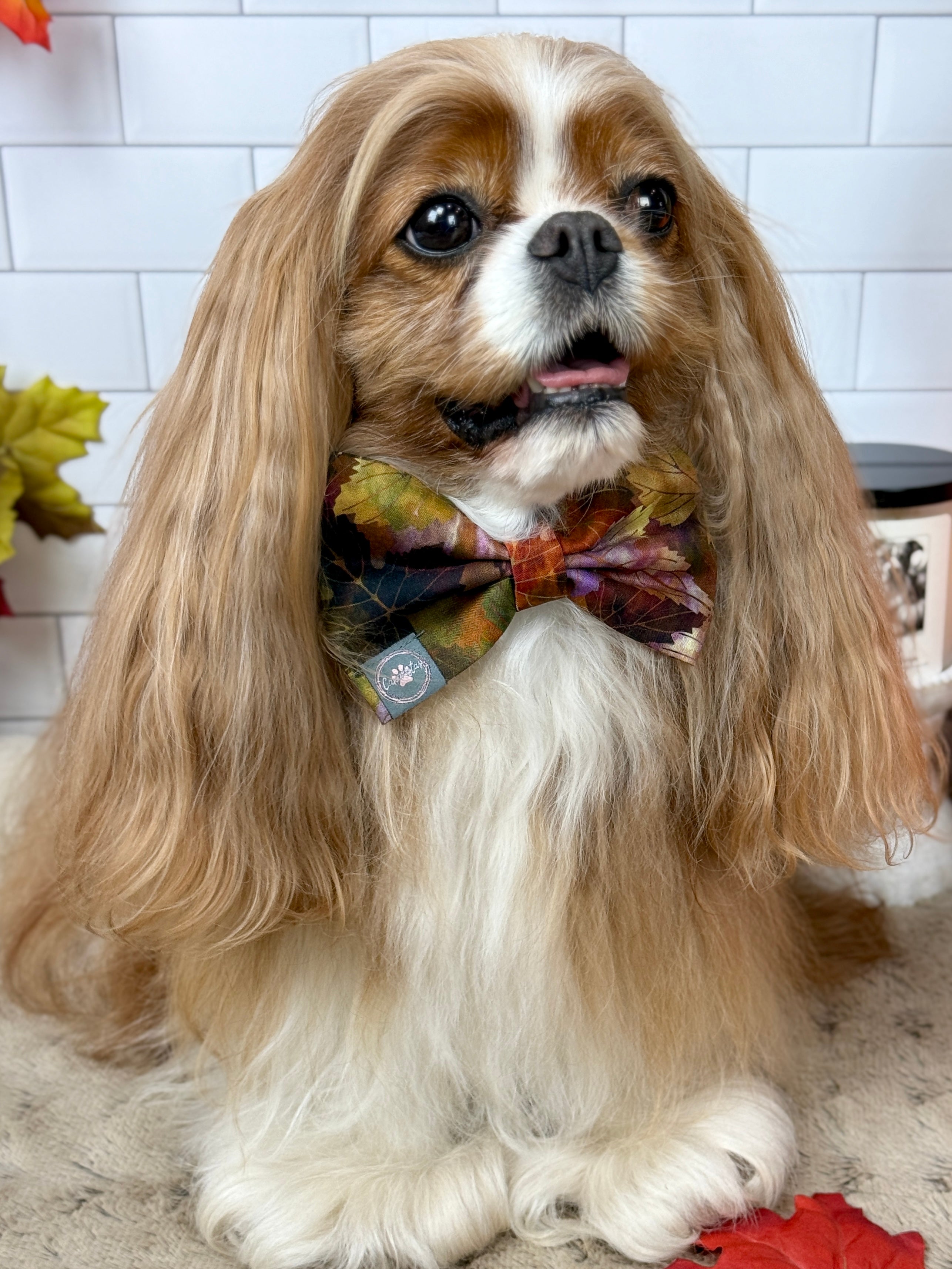 Dress to Impress Bow Tie - Pumpkin Spice Life or Falling for Fall