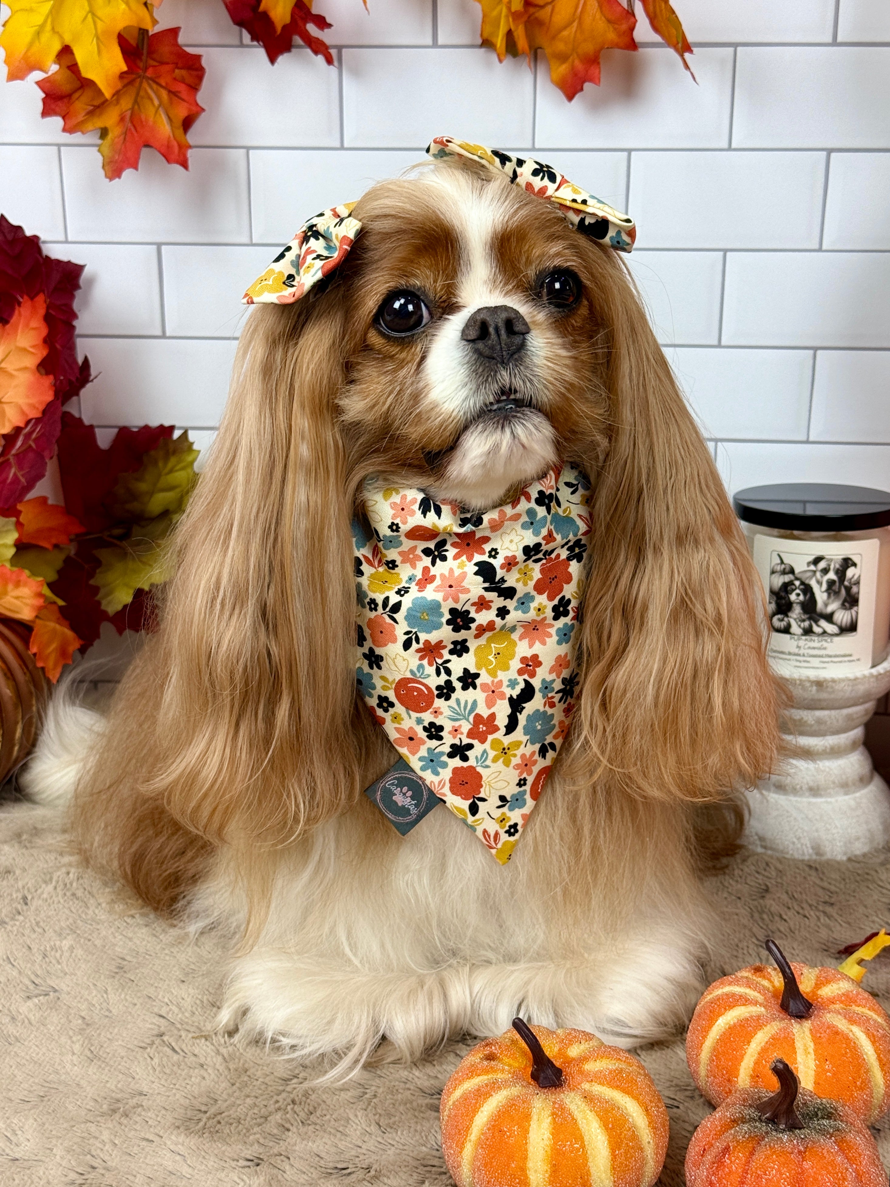 Intermission Wardrobe Change Reversible Bandana - Bat Blooms & Pumpkin Sprinkles
