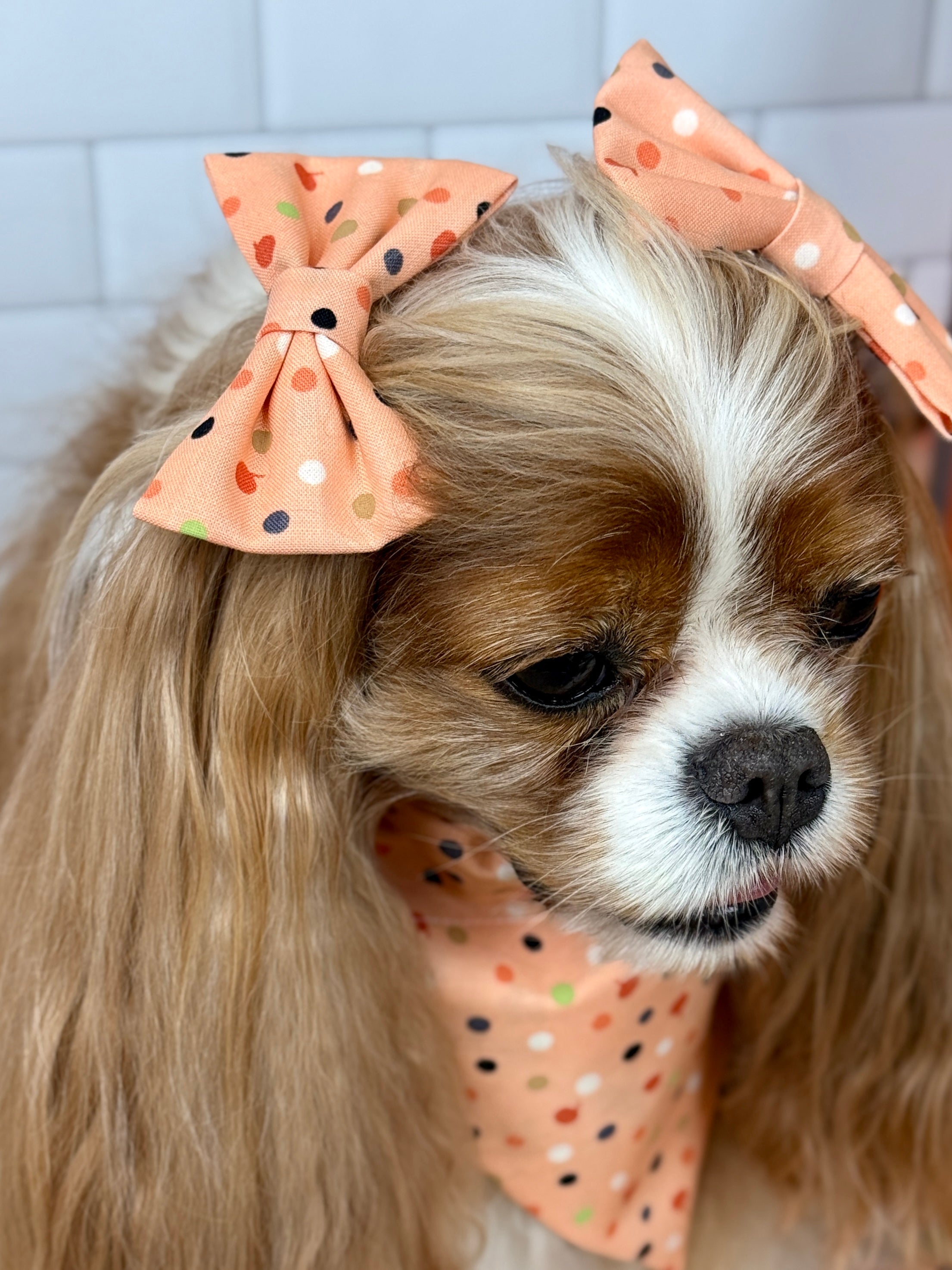 Accessories are a Must Hair Bows - Bats & Blooms or Pumpkin Sprinkles