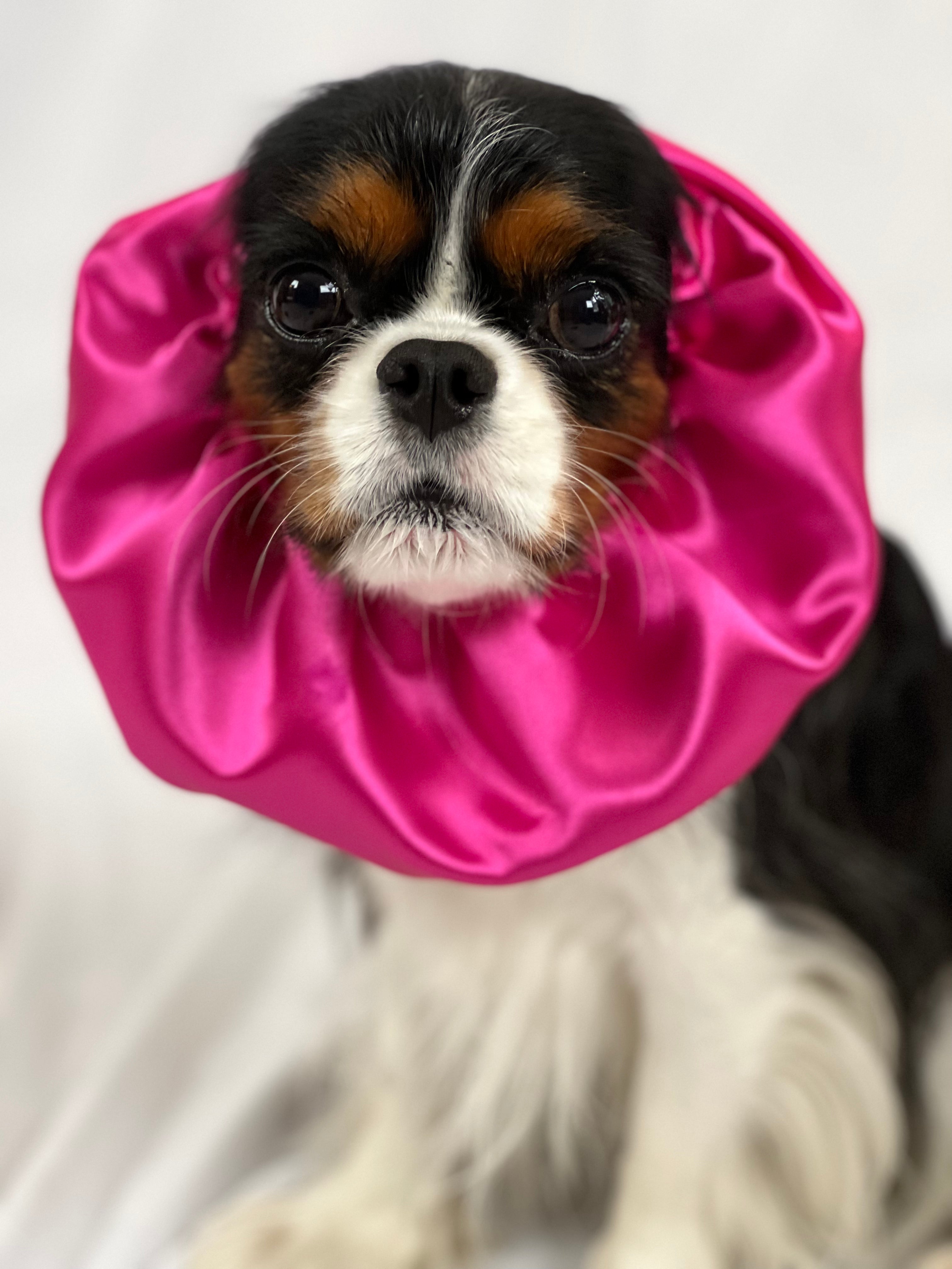 The Long Ear Struggles are Real Snood - Flashy Fuchsia