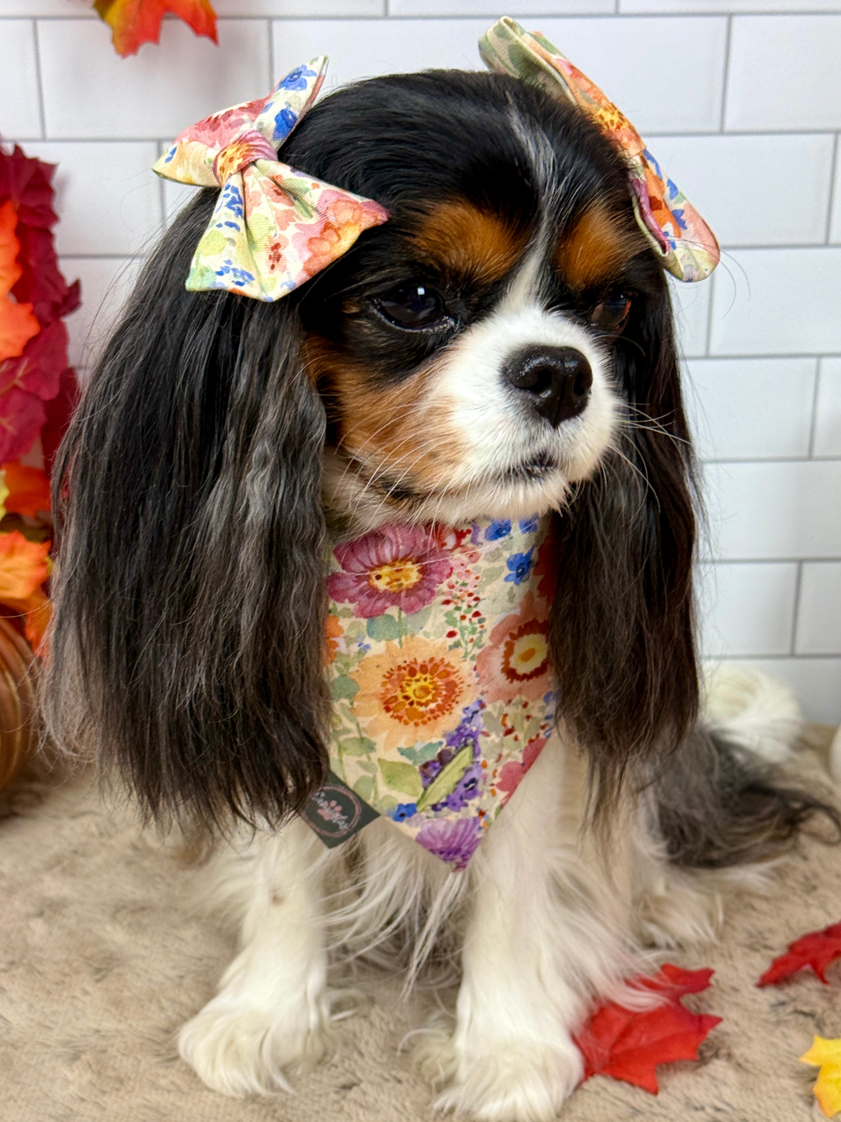 Accessories are a Must Hair Bows - Sunset Bouquet or Pumpkin Gingham