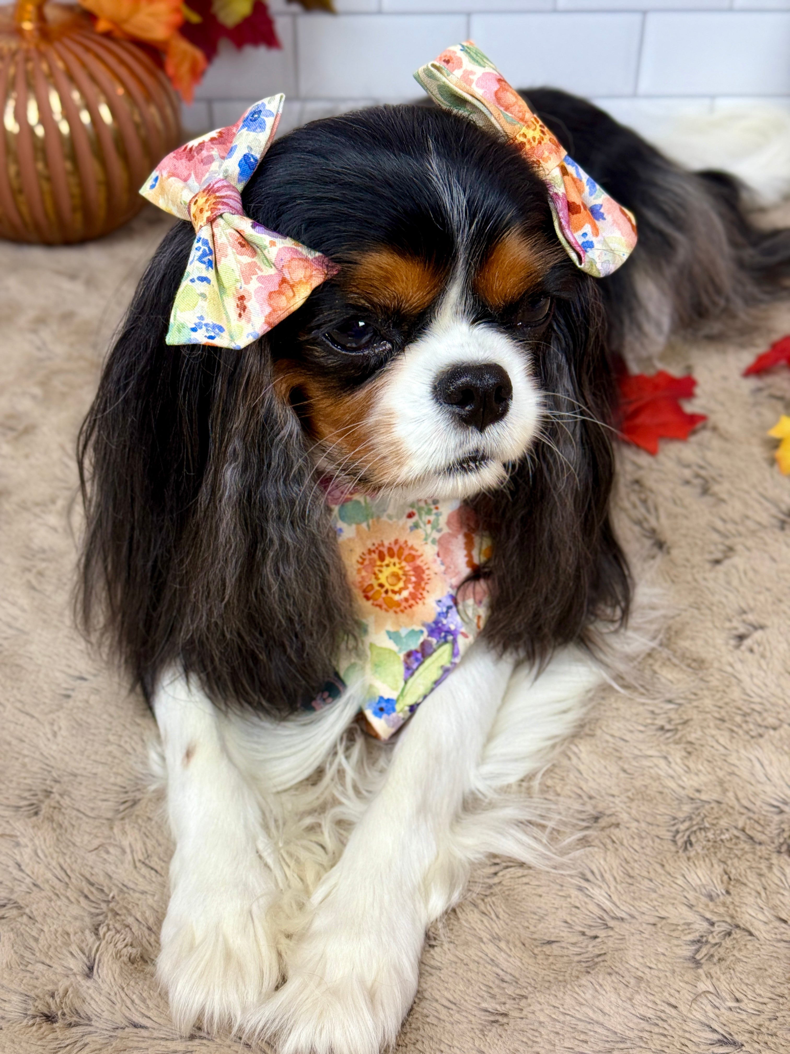 Accessories are a Must Hair Bows - Sunset Bouquet or Pumpkin Gingham