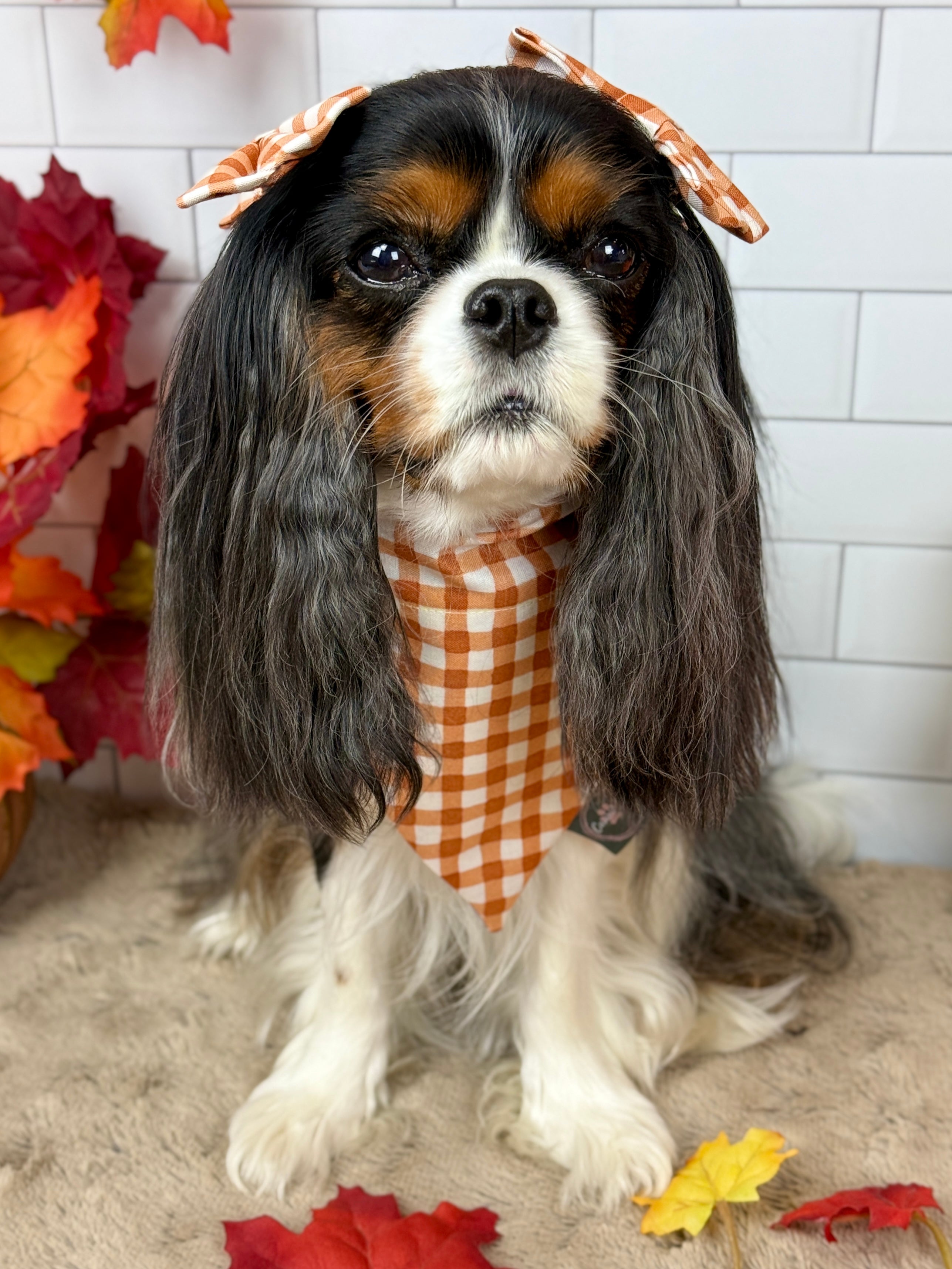Intermission Wardrobe Change Reversible Bandana - Sunset Bouquet & Pumpkin Gingham