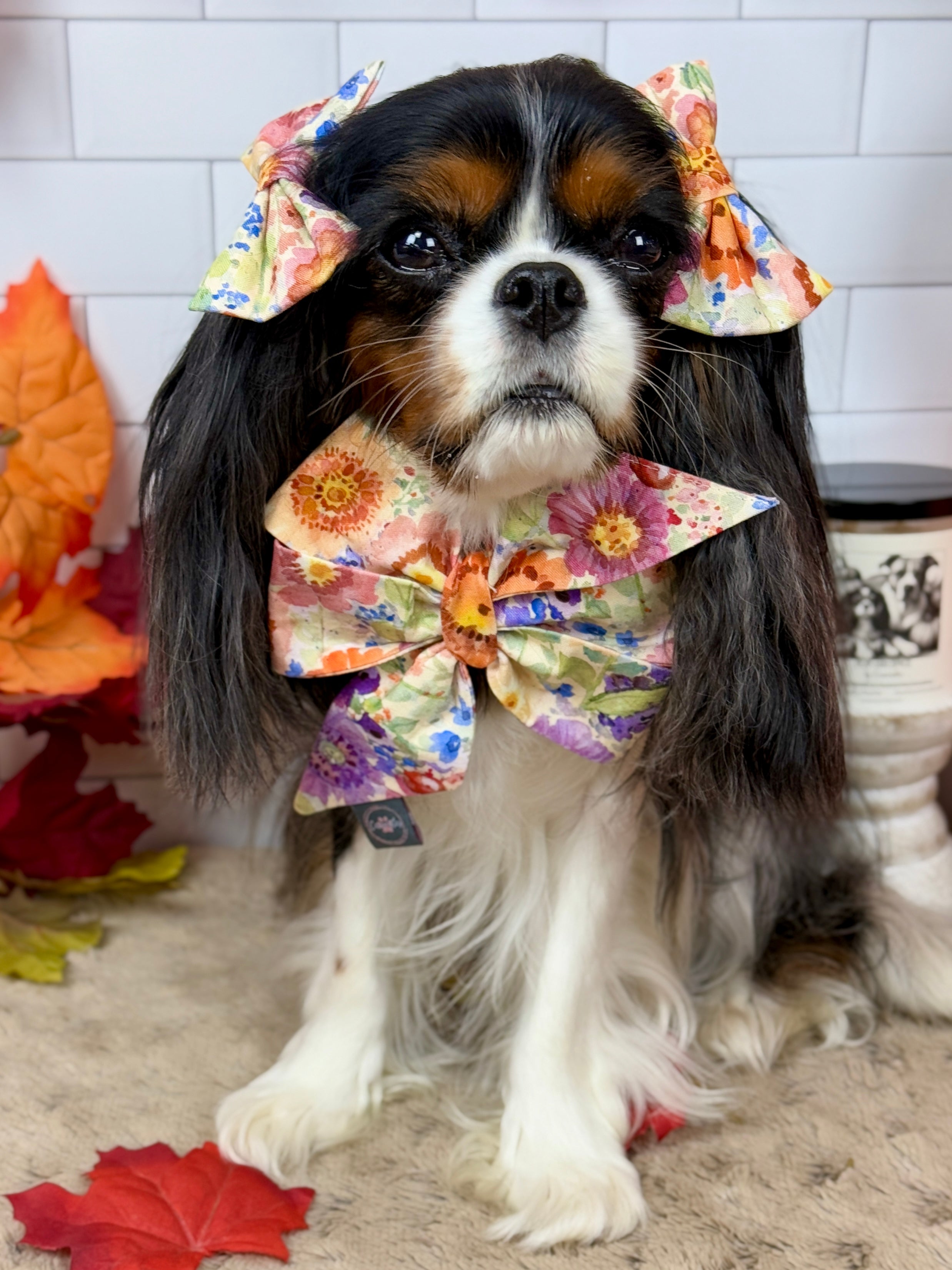 Strike a Pose Bow - Sunset Bouquet or Pumpkin Gingham