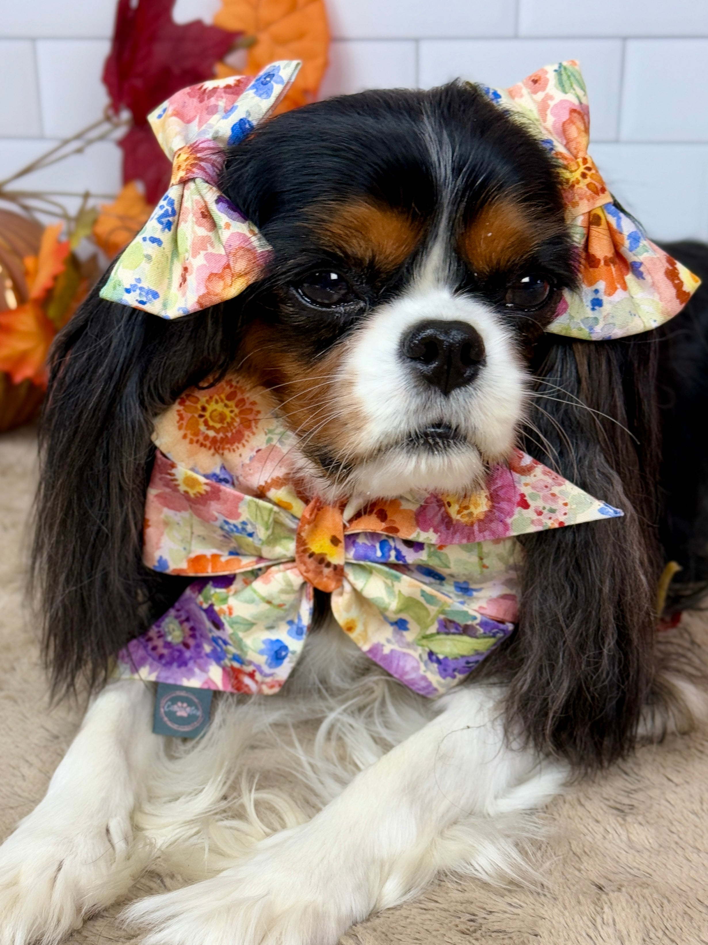 Accessories are a Must Hair Bows - Sunset Bouquet or Pumpkin Gingham