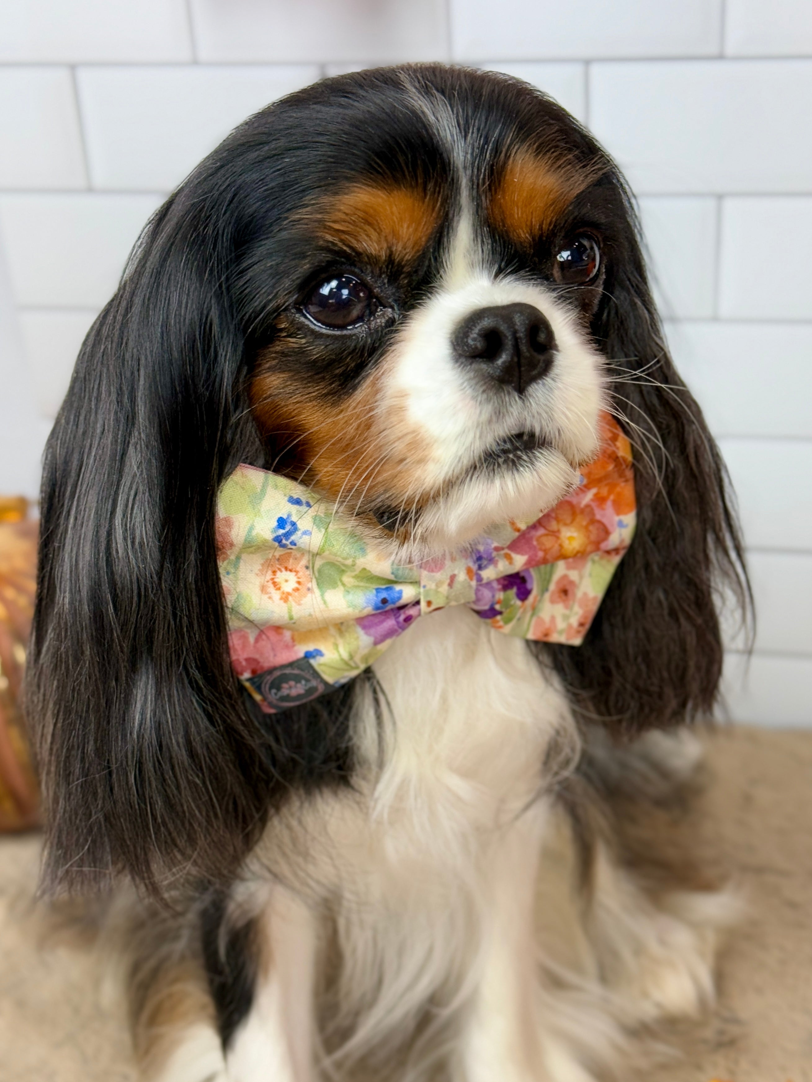 Dress to Impress Bow Tie - Sunset Bouquet or Pumpkin Gingham