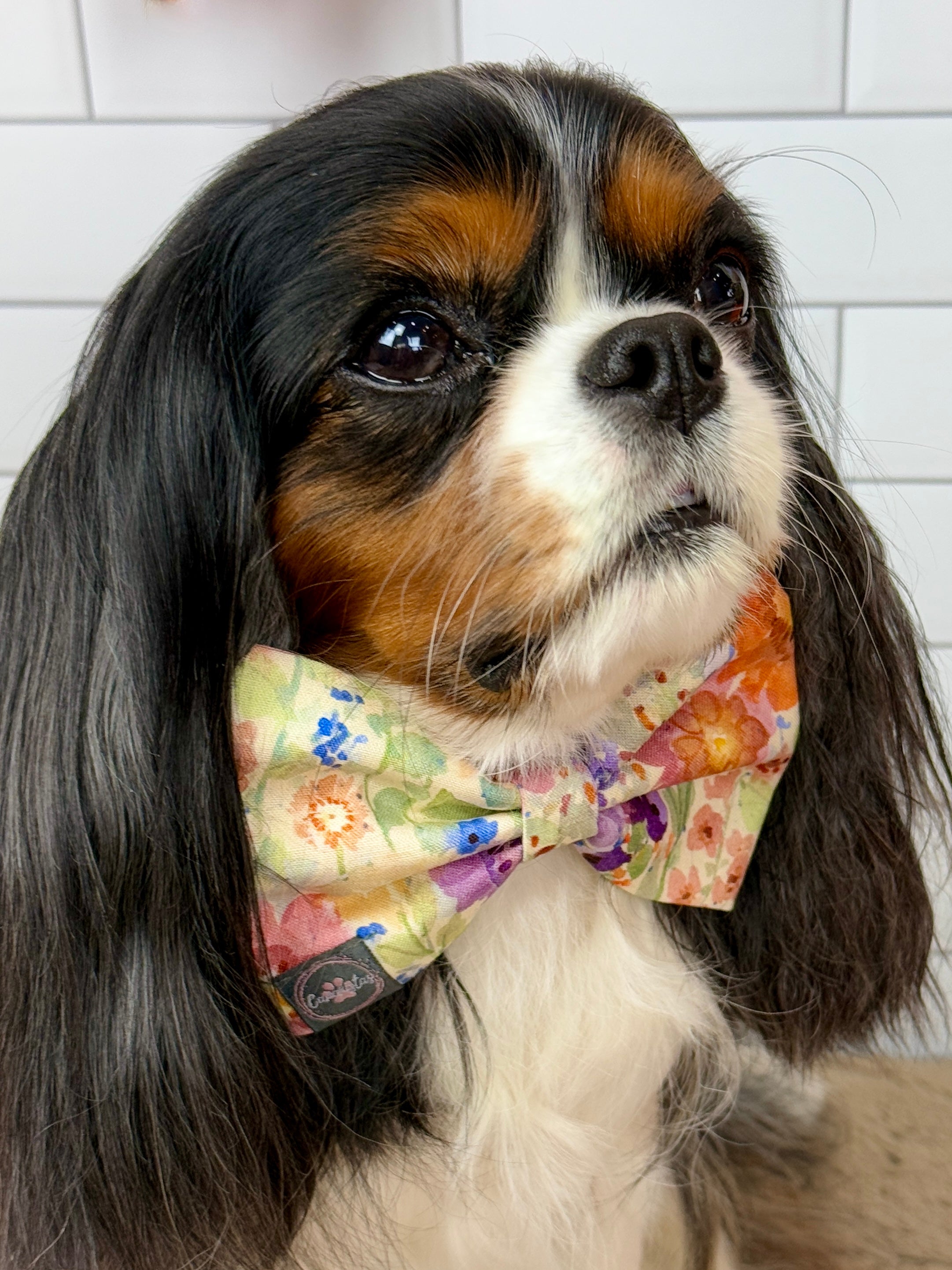 Dress to Impress Bow Tie - Sunset Bouquet or Pumpkin Gingham