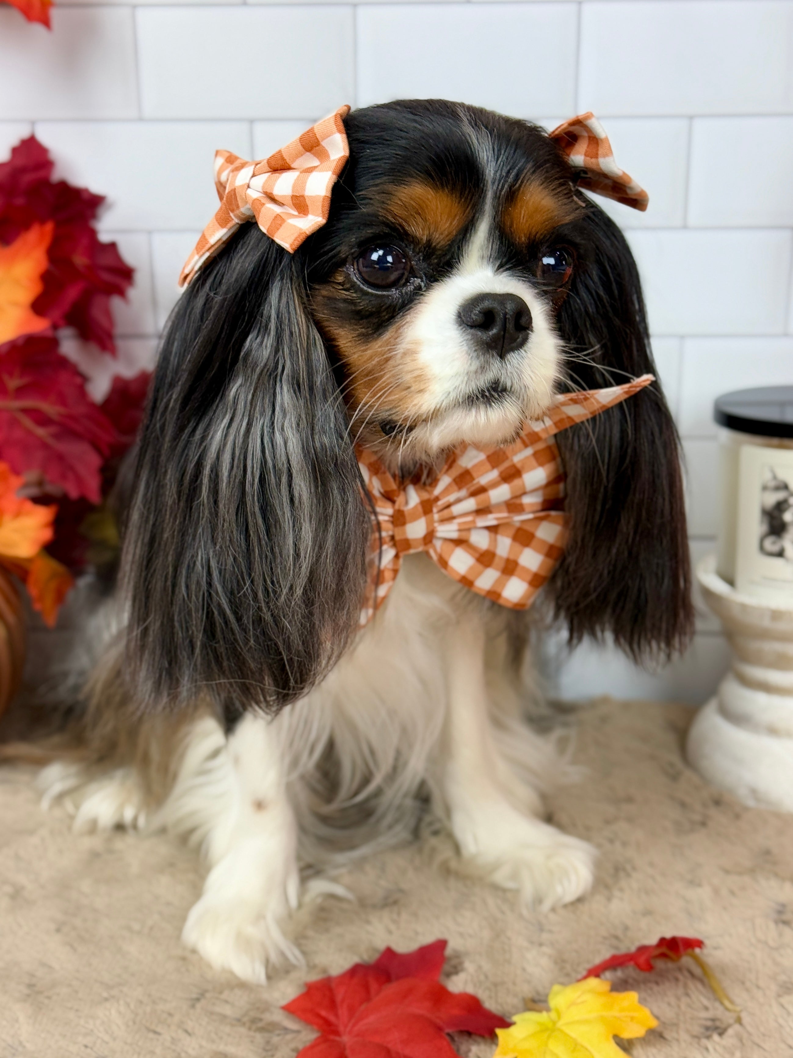 Strike a Pose Bow - Sunset Bouquet or Pumpkin Gingham