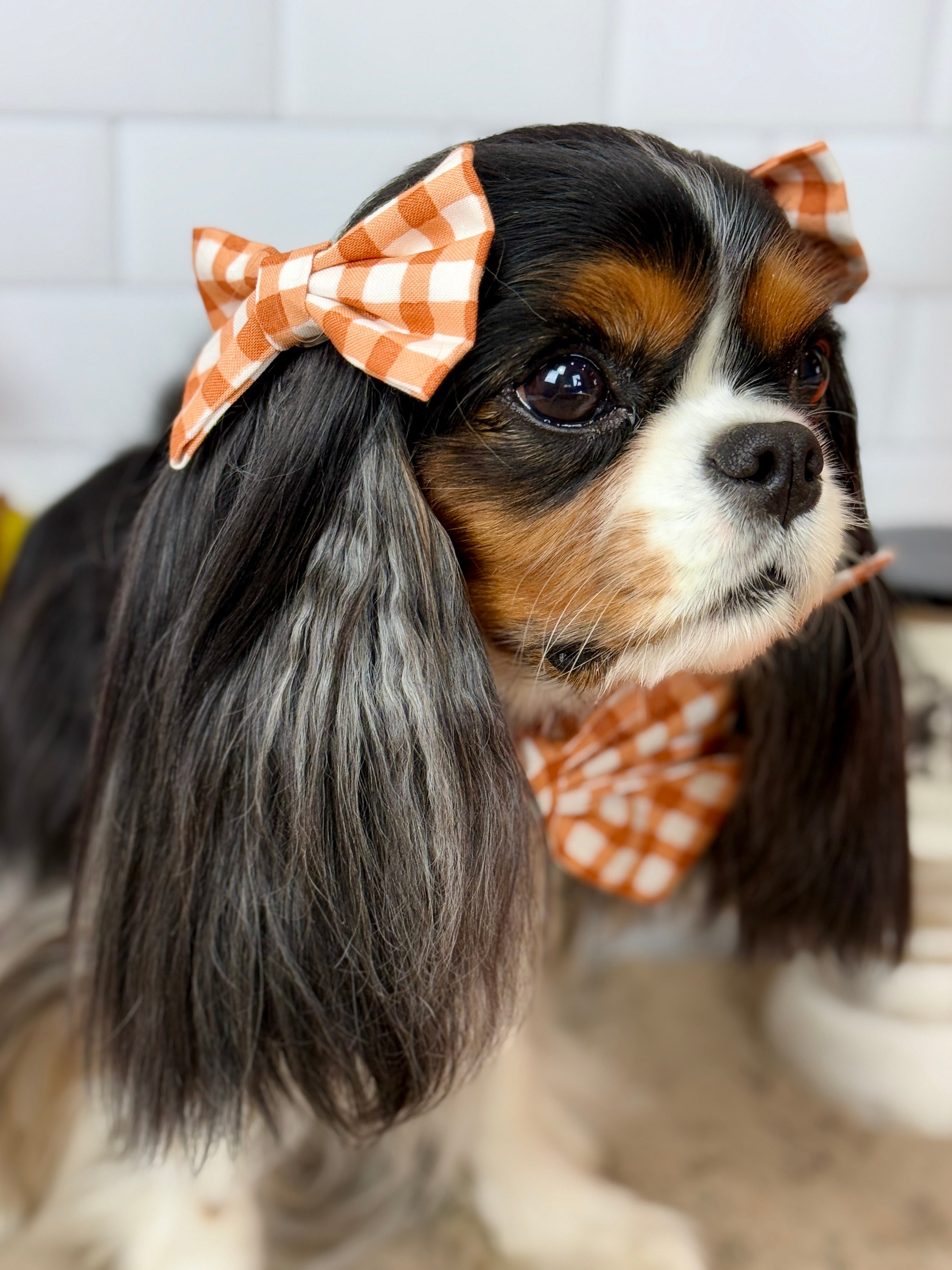 Accessories are a Must Hair Bows - Sunset Bouquet or Pumpkin Gingham