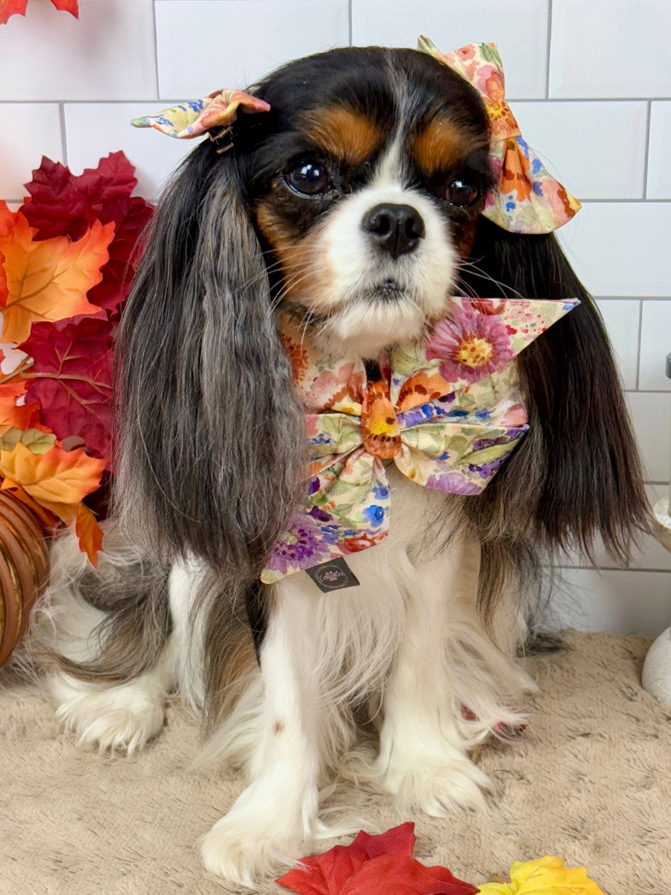 Strike a Pose Bow - Sunset Bouquet or Pumpkin Gingham