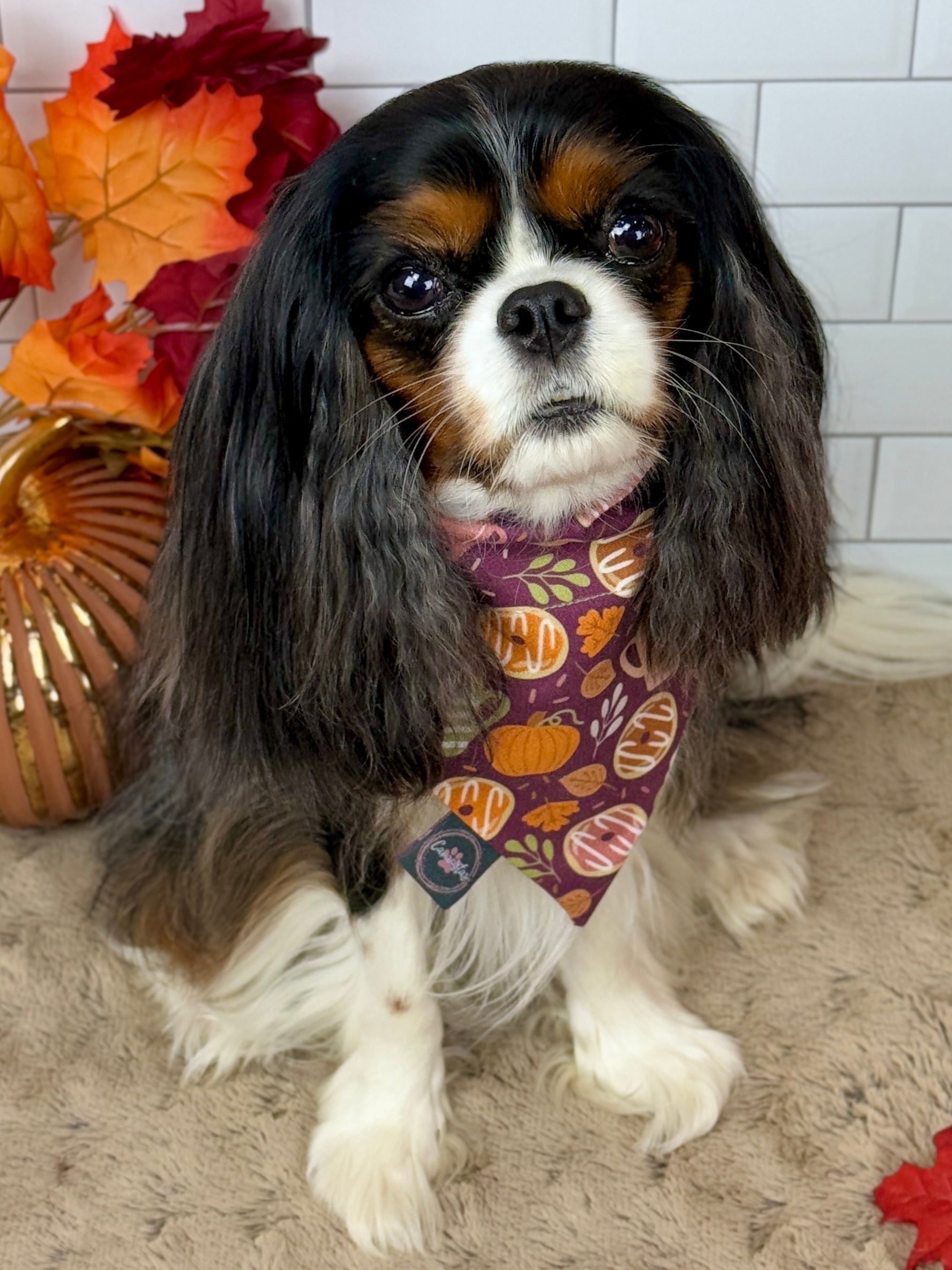 Intermission Wardrobe Change Reversible Bandana - Pumpkin Spice Life & Falling for Fall