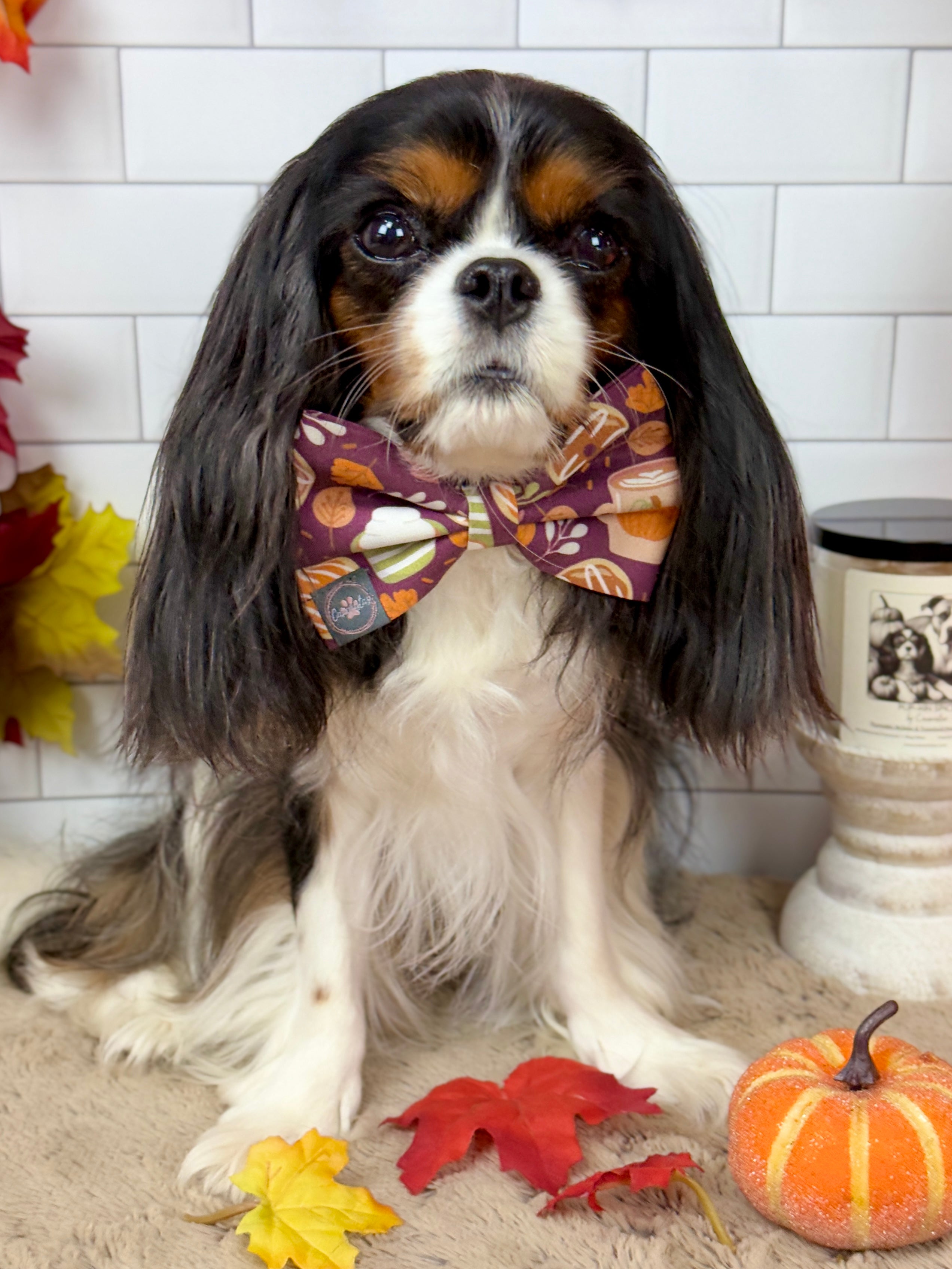 Dress to Impress Bow Tie - Pumpkin Spice Life or Falling for Fall