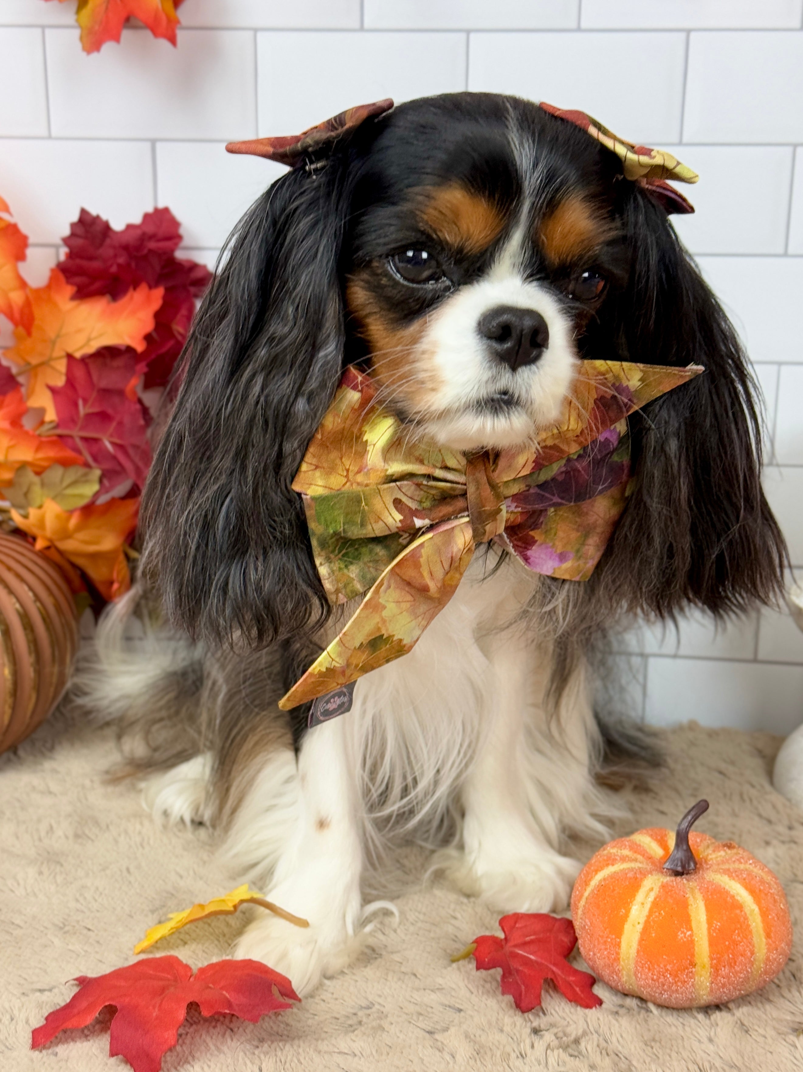 Strike a Pose Bow -  Falling for Fall